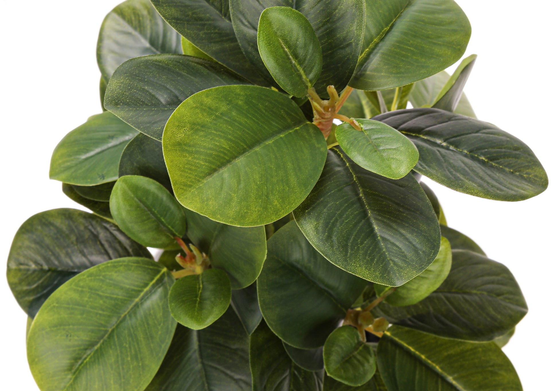 Artificial Ficus Elastica Plant 14"H Set of 2 with 4" Pot-Artificial Plant-DECOROLALA