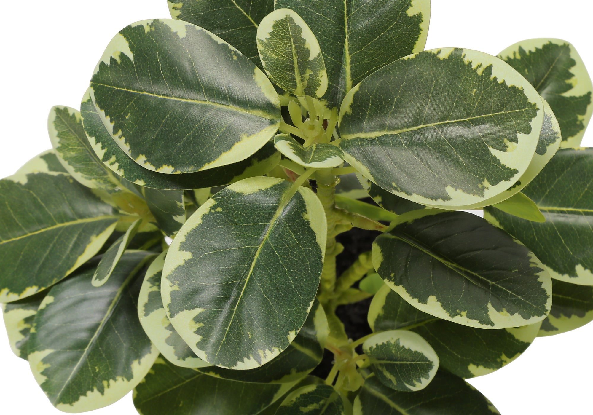Artificial Ficus Elastica Plant 14"H Set of 2 with 4" Pot-Artificial Plant-DECOROLALA