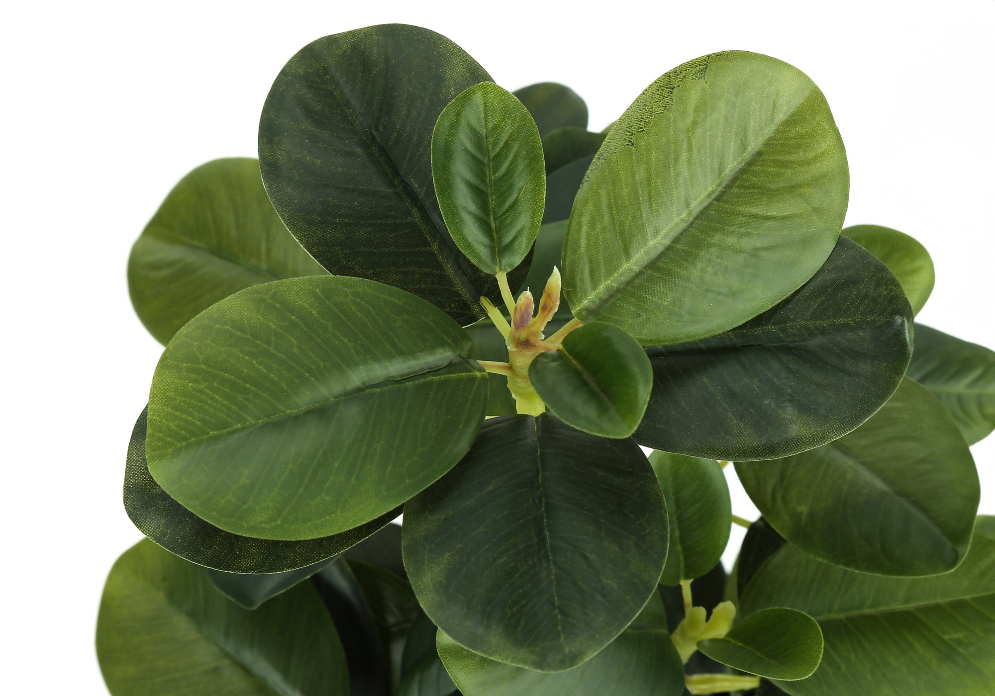 Artificial Ficus Elastica Plant 14"H Set of 2 with 4" Pot-Artificial Plant-DECOROLALA