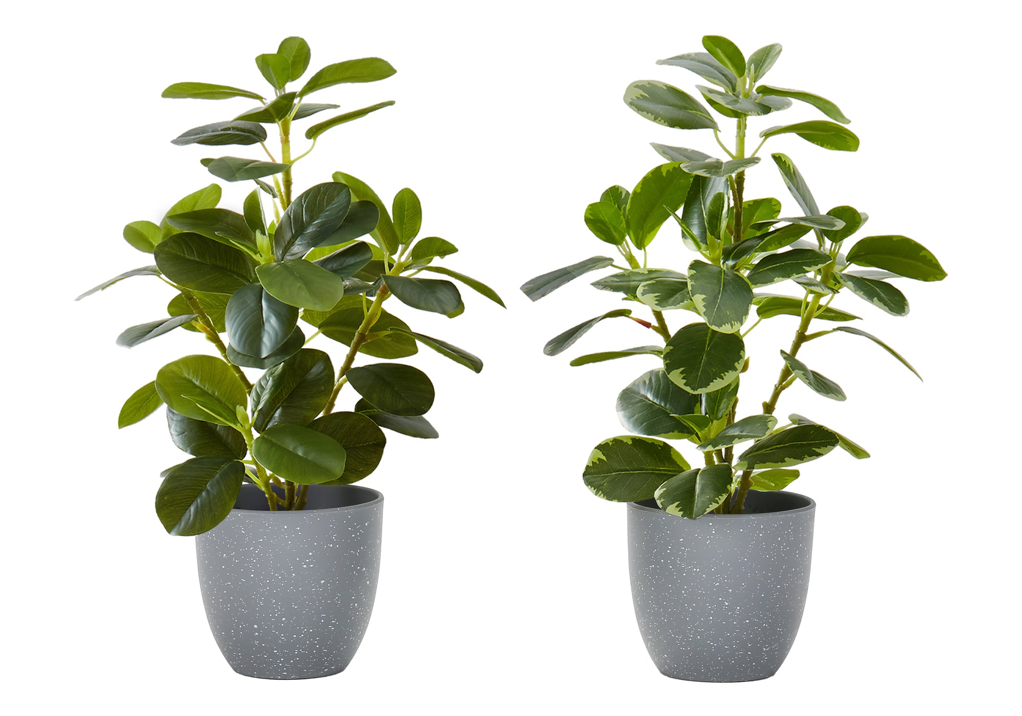 Artificial Ficus Elastica Plant 14"H Set of 2 with 4" Pot-Artificial Plant-DECOROLALA