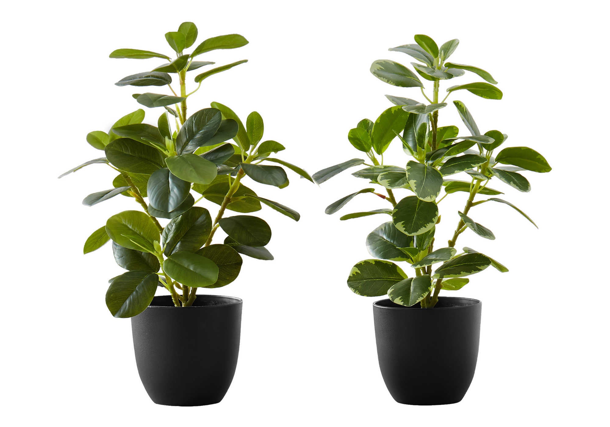 Artificial Ficus Elastica Plant 14"H Set of 2 with 4" Pot-Artificial Plant-DECOROLALA