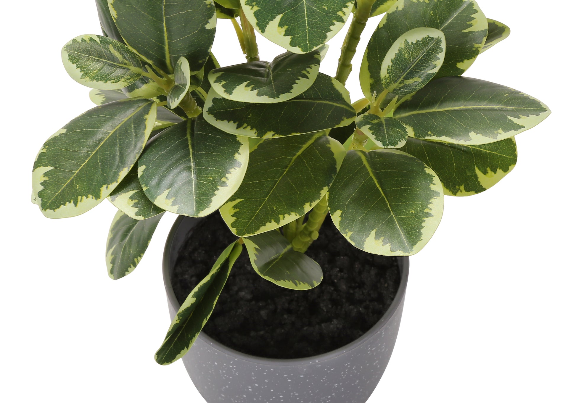 Artificial Ficus Elastica Plant 14"H Set of 2 with 4" Pot-Artificial Plant-DECOROLALA