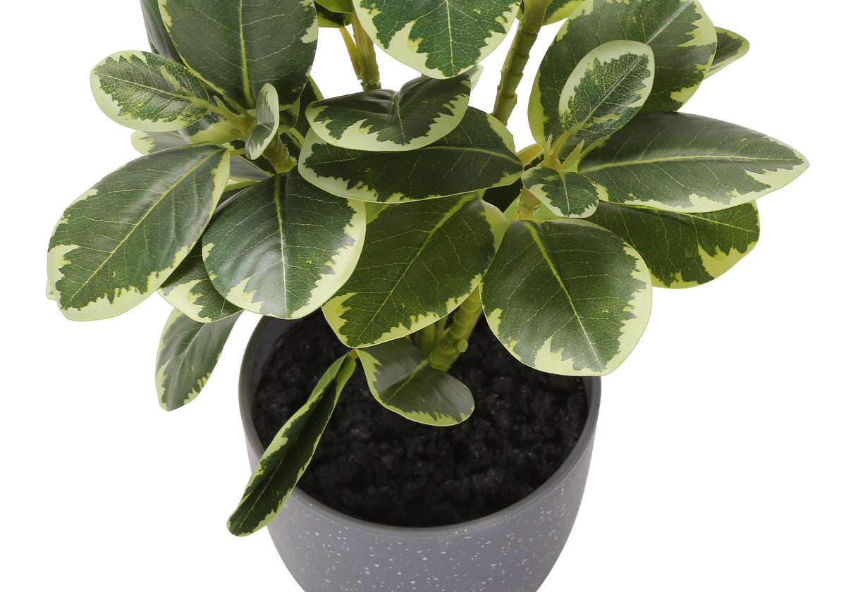 Artificial Ficus Elastica Plant 14"H Set of 2 with 4" Pot-Artificial Plants-DECOROLALA