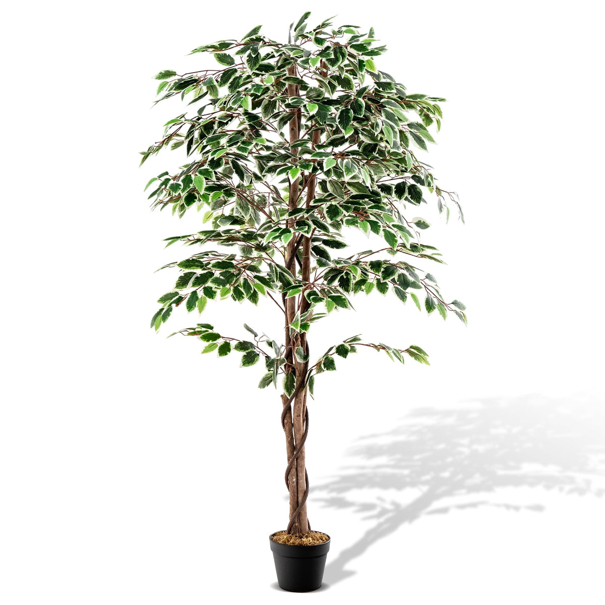 Artificial Ficus Tree Tall Faux Indoor Plant with 1008 Leaves Nursery Pot and Dried Moss-Artificial Plants-DECOROLALA