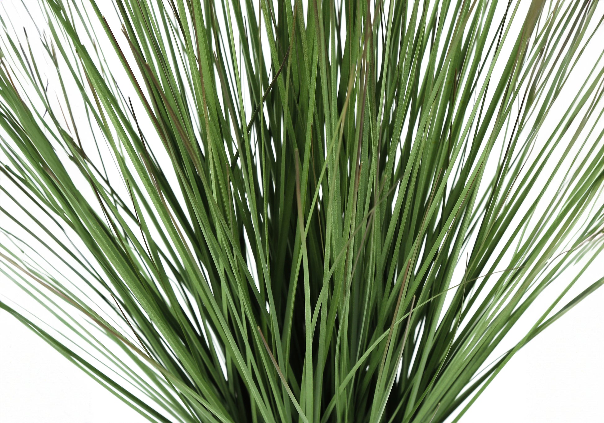 Artificial Grass Plant 21"H Cement Pot-Artificial Plant-DECOROLALA
