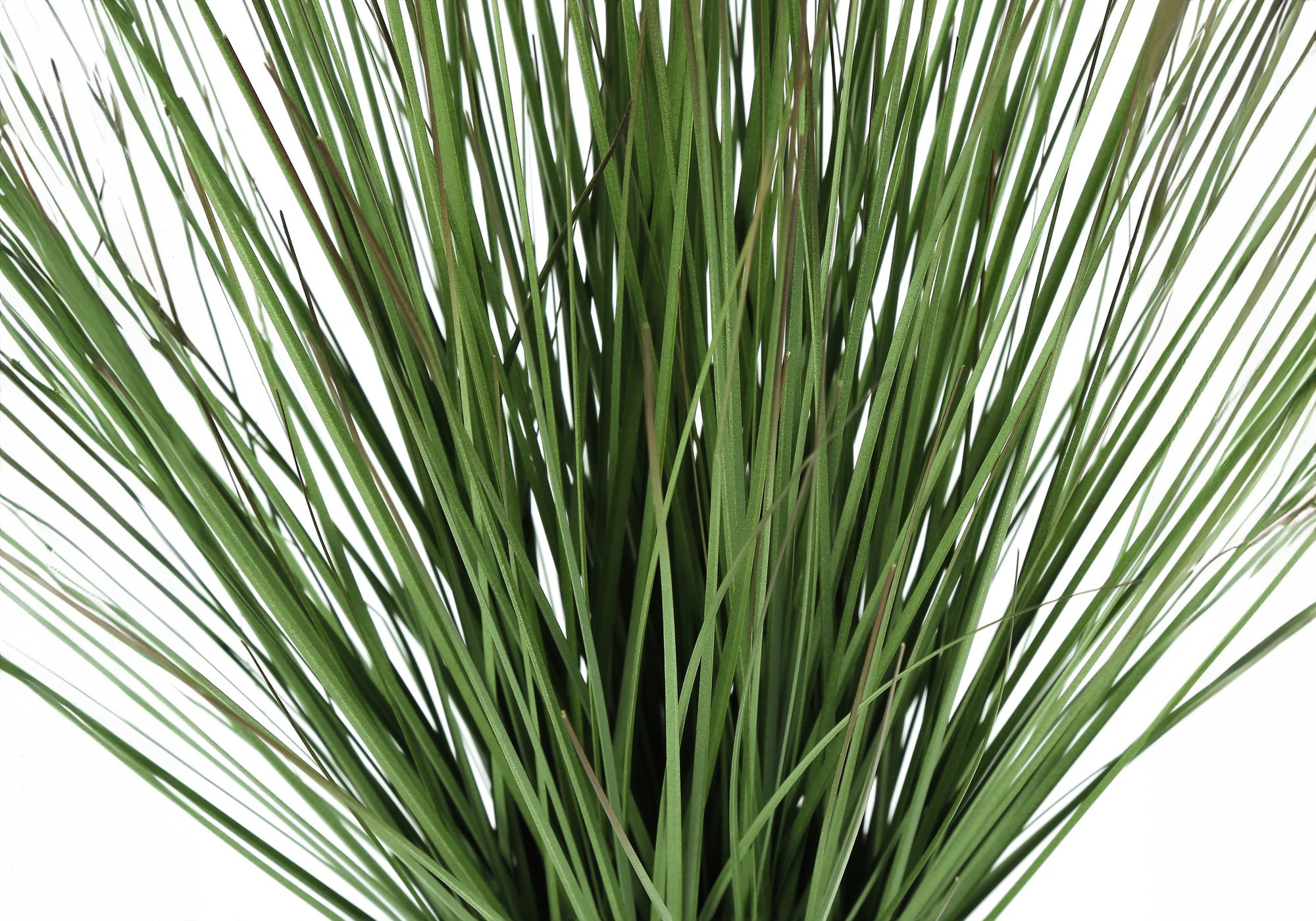 Artificial Grass Plant 21"H Cement Pot-Artificial Plant-DECOROLALA