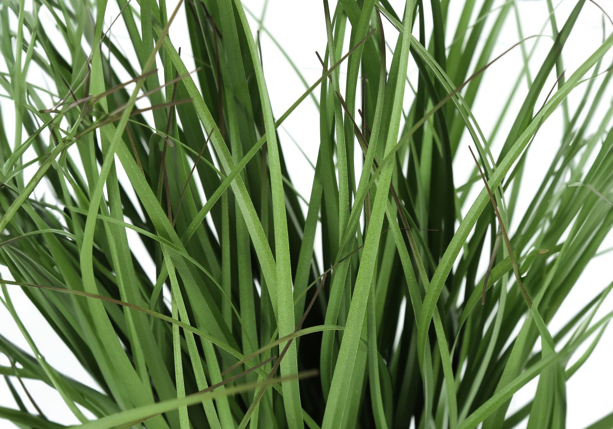 Artificial Grass Plant 23" In 4" Black Pot-Artificial Plant-DECOROLALA