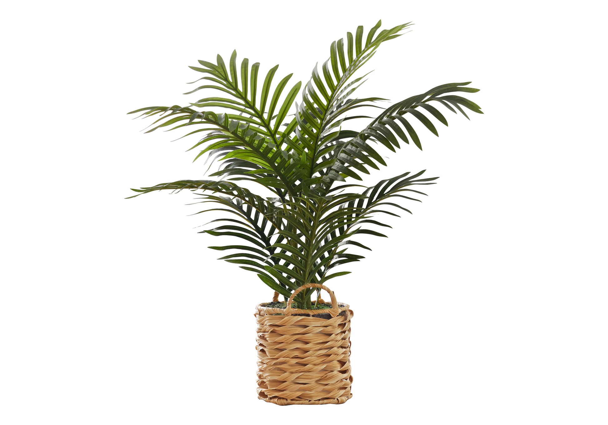 Artificial Palm Plant 24"H with Woven Basket-Artificial Plant-DECOROLALA