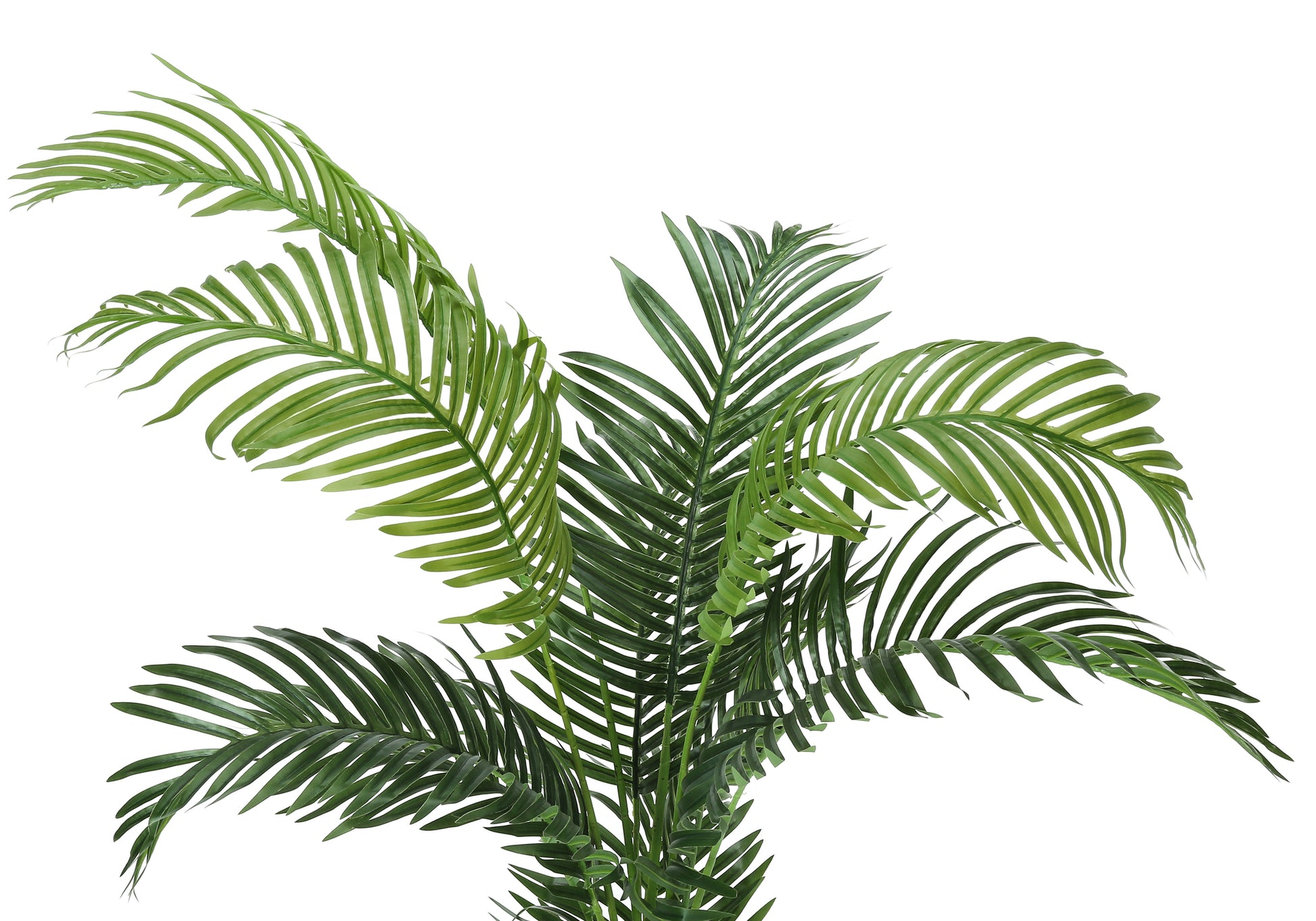 Artificial Palm Tree 57"H Indoor Plant with 5" Pot-Artificial Plant-DECOROLALA