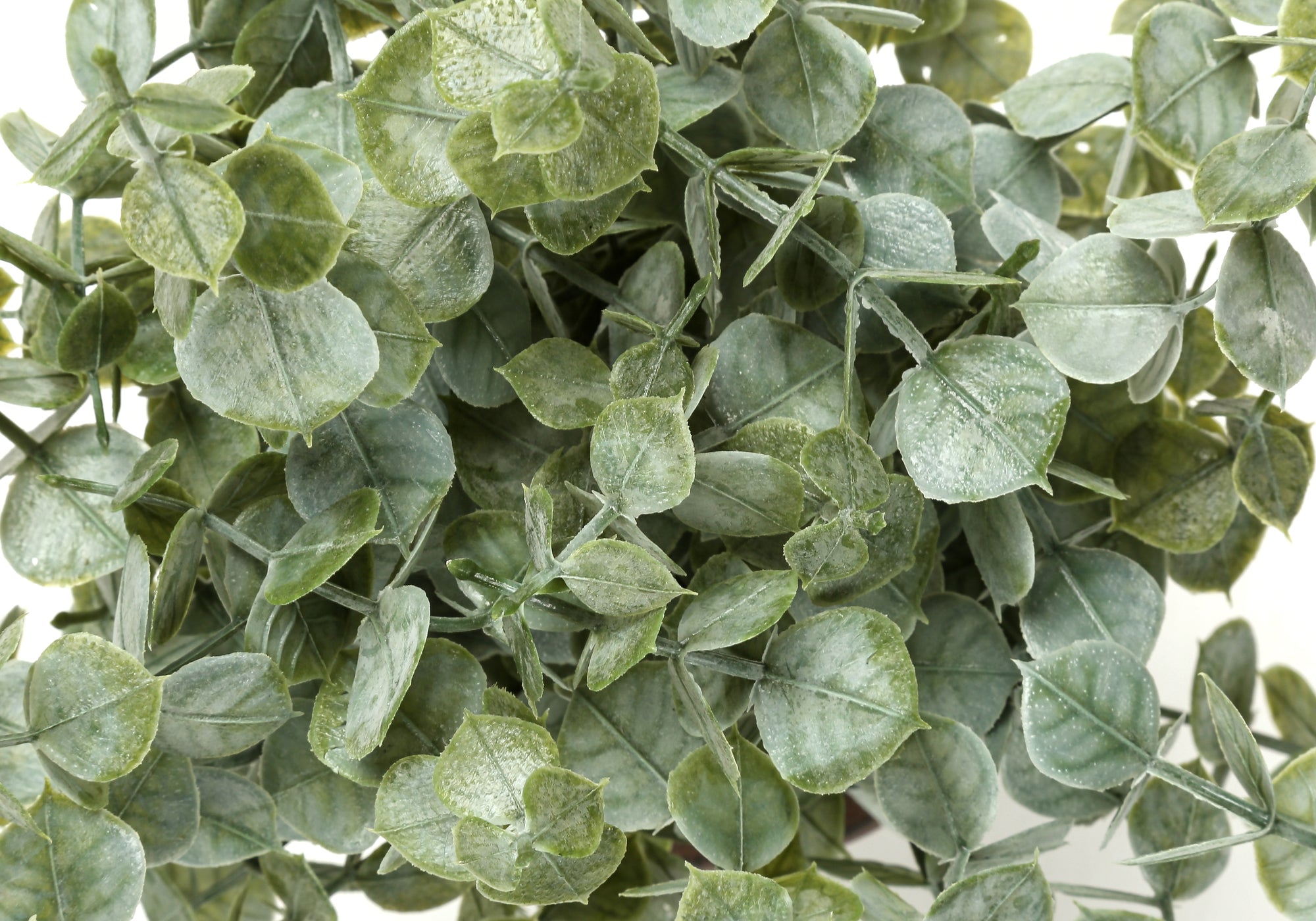 Artificial Plant - 2pcs / 13"H Eucalyptus / Grass/ 4" Pot-Artificial Plant-DECOROLALA