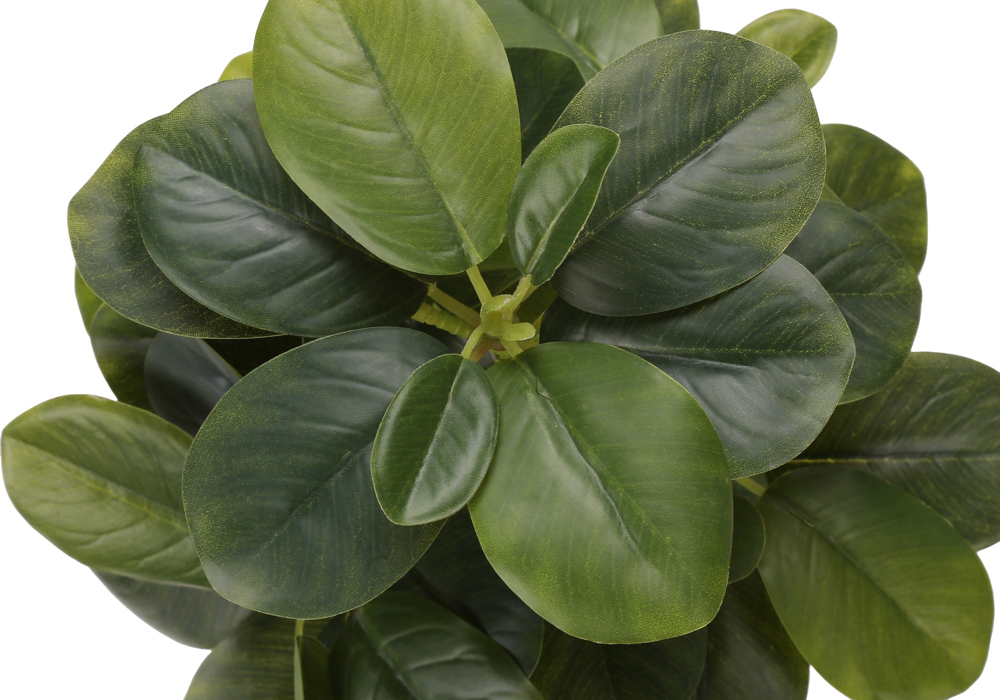 Artificial Plant - 2pcs / 14"H Ficus Elastica / 4" Pot-Artificial Plant-DECOROLALA