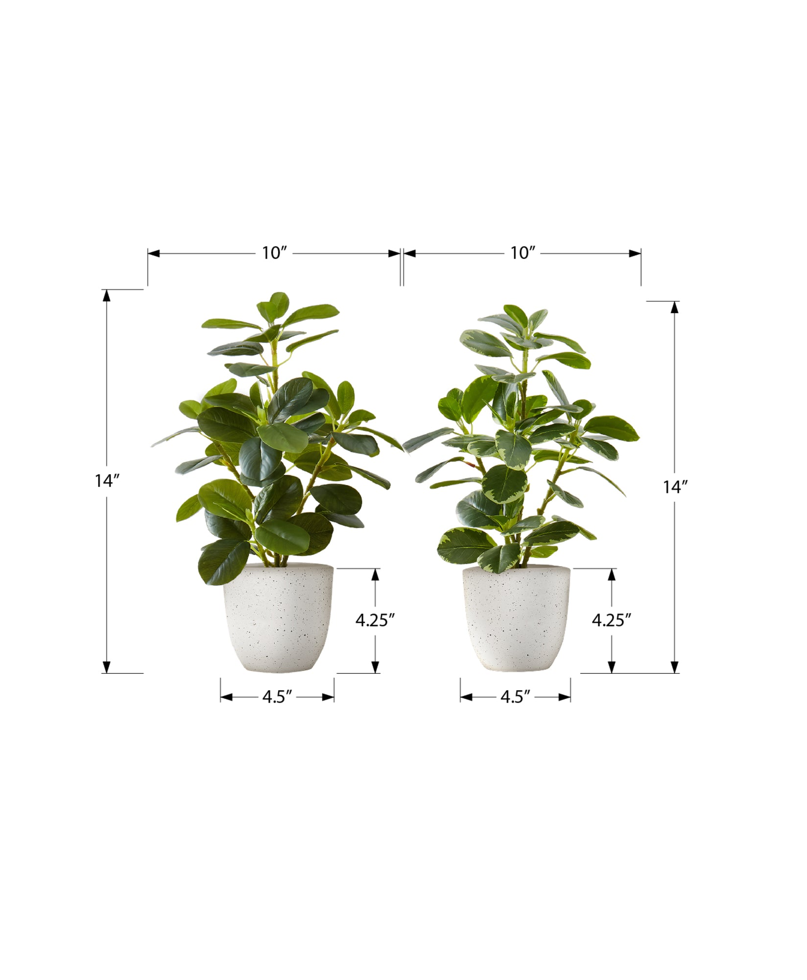Artificial Plant - 2pcs / 14"H Ficus Elastica / 4" Pot-Artificial Plant-DECOROLALA