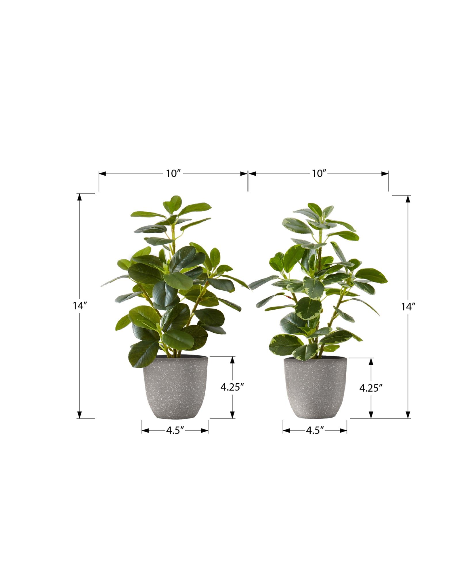 Artificial Plant - 2pcs / 14"H Ficus Elastica / 4" Pot-Artificial Plant-DECOROLALA
