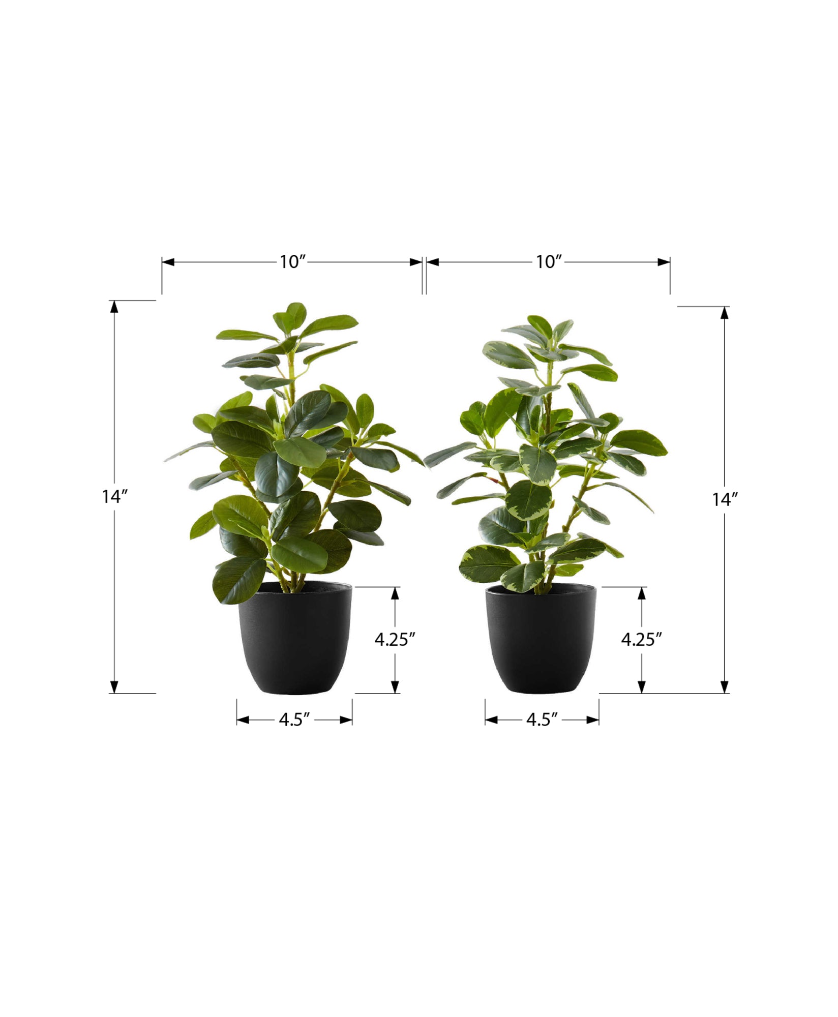 Artificial Plant - 2pcs / 14"H Ficus Elastica / 4" Pot-Artificial Plant-DECOROLALA