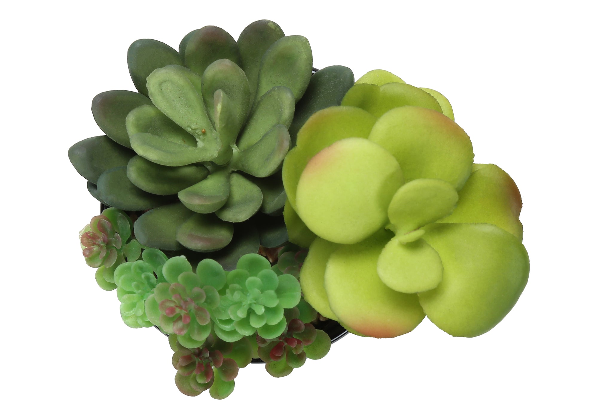 Artificial Plant - 2pcs / 7"H Succulent In 3" Chrome Pot-Artificial Plant-DECOROLALA
