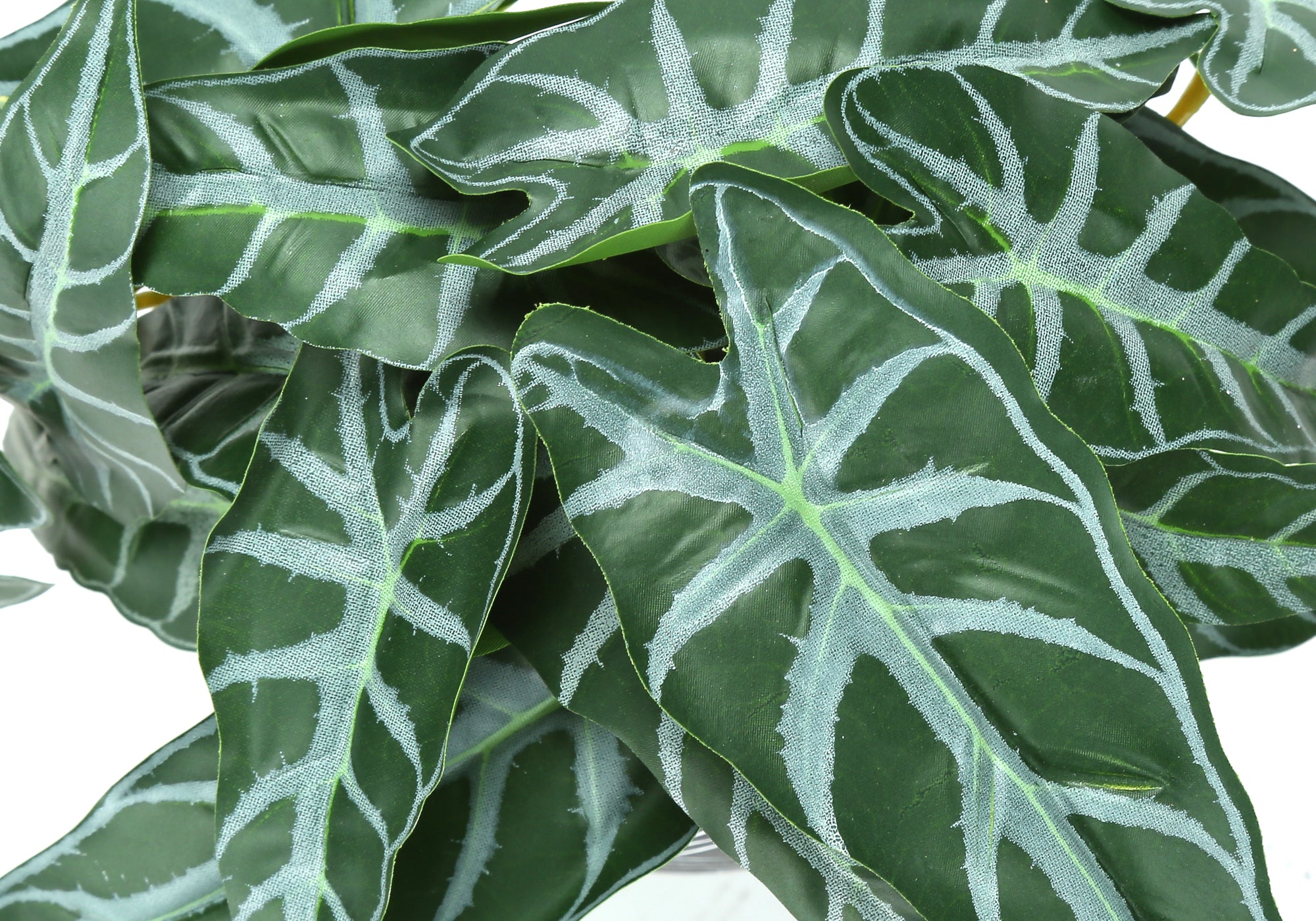 Artificial Plant - 2pcs / 8"H Alocasia / 5" Black Pot-Artificial Plant-DECOROLALA