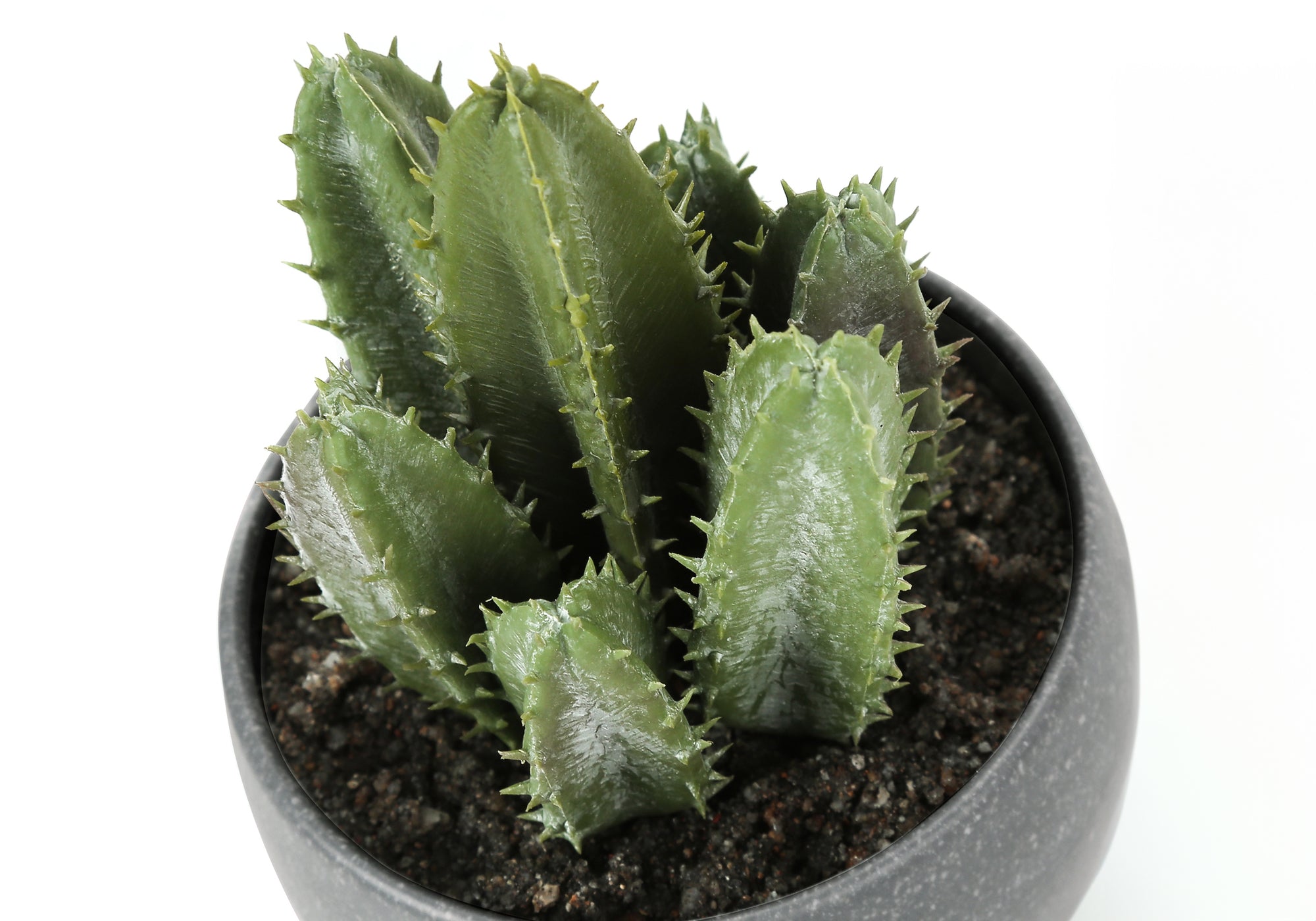 Artificial Plant - 3pcs / 6"H Succulent In A 3" White Pot-Artificial Plant-DECOROLALA