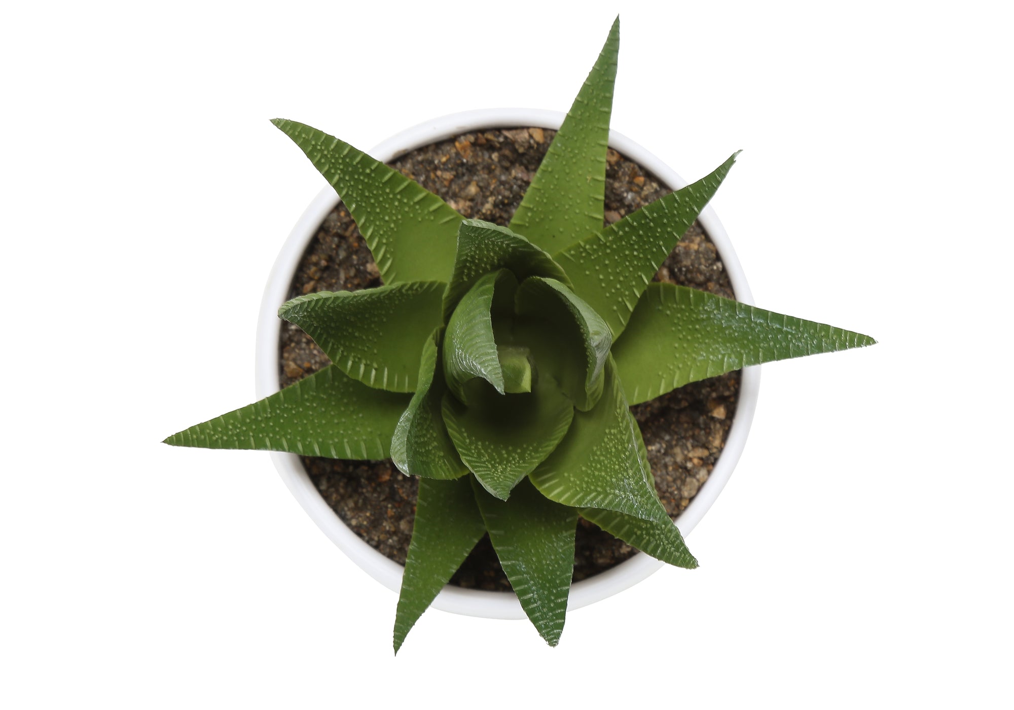 Artificial Plant - 3pcs / 6"H Succulent In A 3" White Pot-Artificial Plant-DECOROLALA