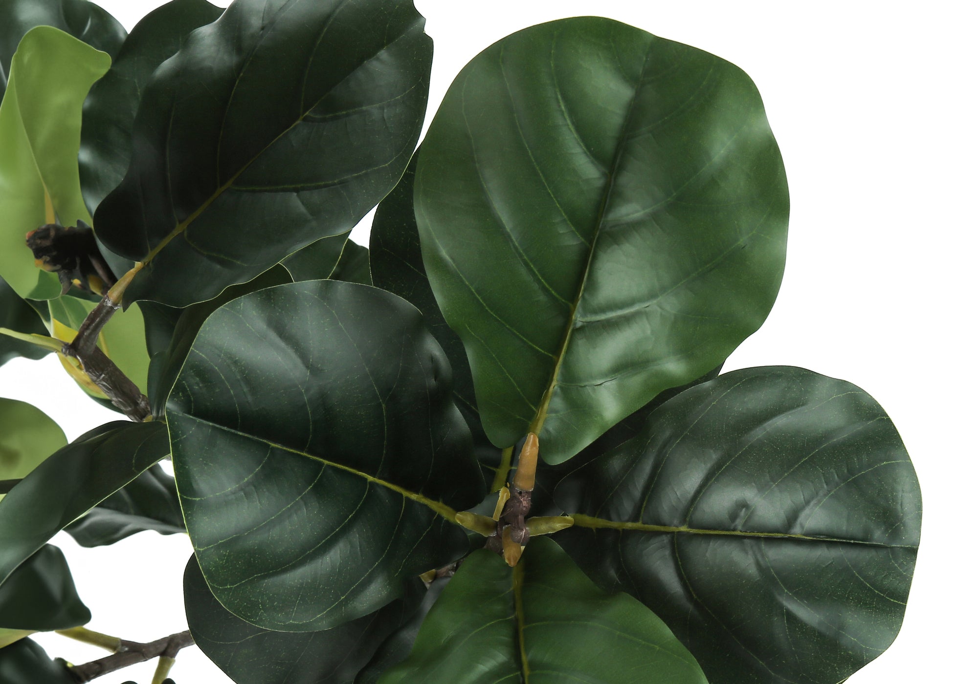 Artificial Plant 47"H Fiddle Tree, 6" Black Pot-Artificial Plant-DECOROLALA