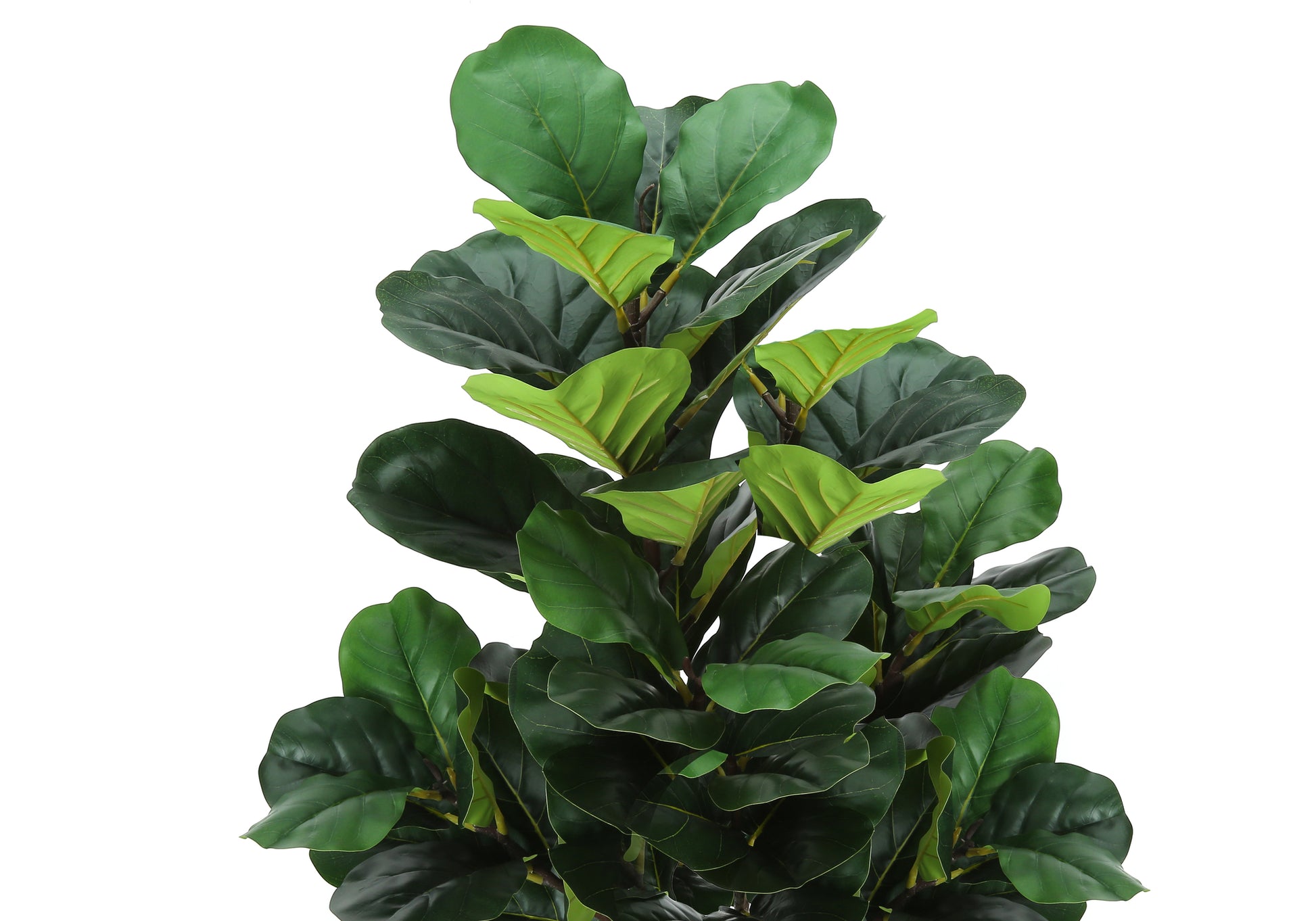 Artificial Plant 47"H Fiddle Tree, 6" Black Pot-Artificial Plant-DECOROLALA