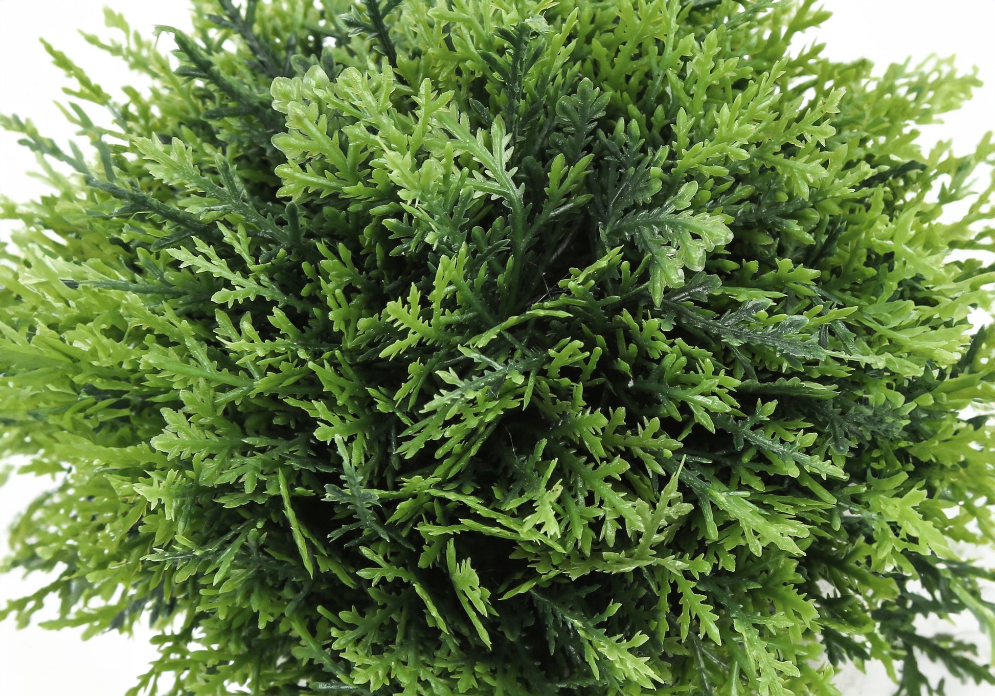 Artificial Plant Grass Set, 5"H, 3-Piece, Black Pots-Artificial Plant-DECOROLALA