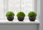 Artificial Plant Grass Set, 5"H, 3-Piece, Black Pots-Artificial Plant-DECOROLALA