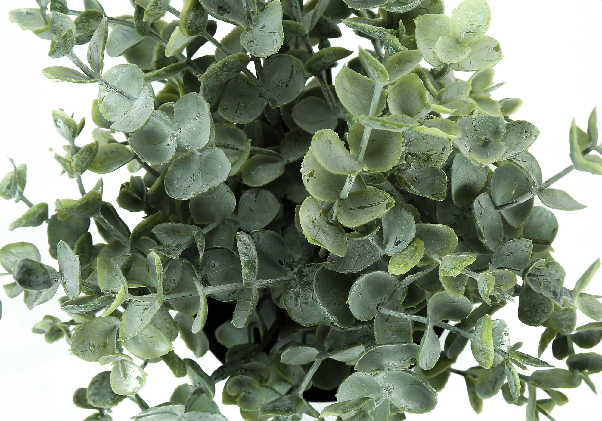 Artificial Plant Set 2pc 11"H Eucalyptus Grass 5" Pot-Artificial Plant-DECOROLALA