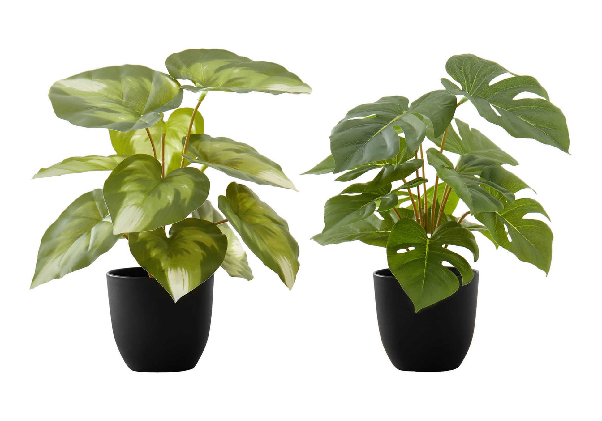 Artificial Plant Set 2pcs Monstera/Calathea 13"H 4" Pot-Artificial Plant-DECOROLALA