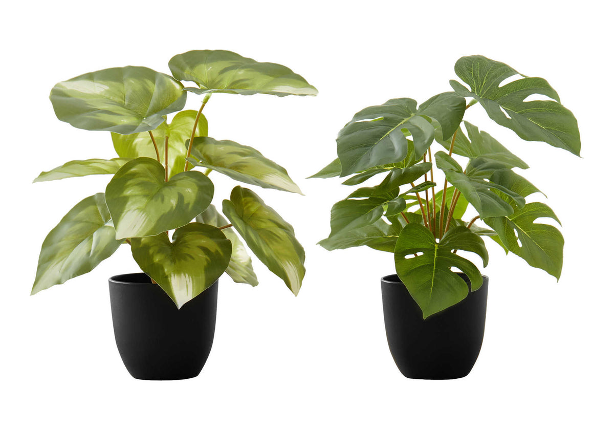 Artificial Plant Set 2pcs Monstera/Calathea 13"H 4" Pot-Artificial Plants-DECOROLALA