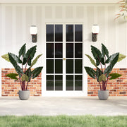 Artificial Rainbow Taro Tree 63" Tall with 11 Faux Leaves-2 Pack-Artificial Plants-DECOROLALA
