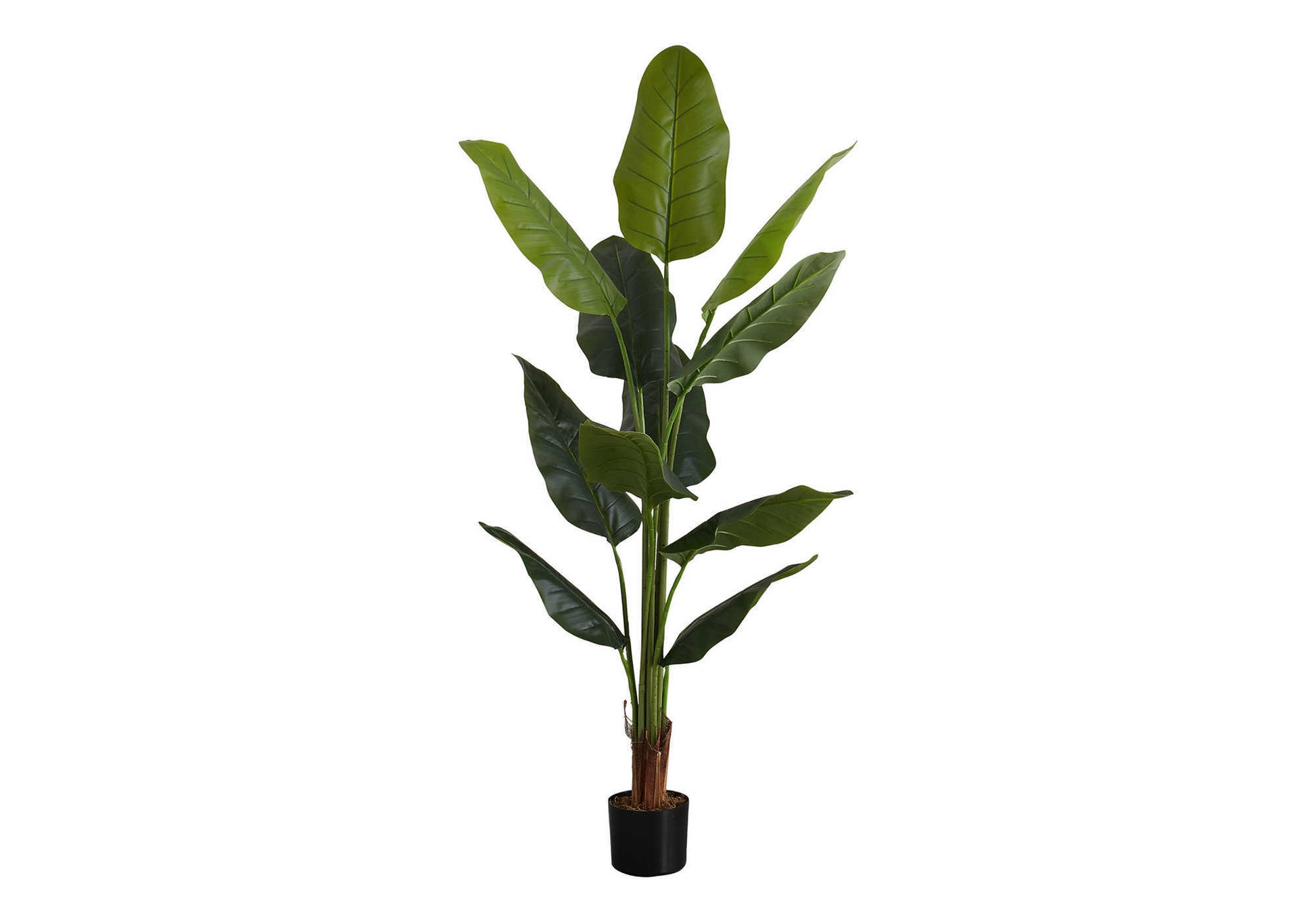 Artificial Strelitzia Plant 59"H with 5" Black Pot-Artificial Plant-DECOROLALA
