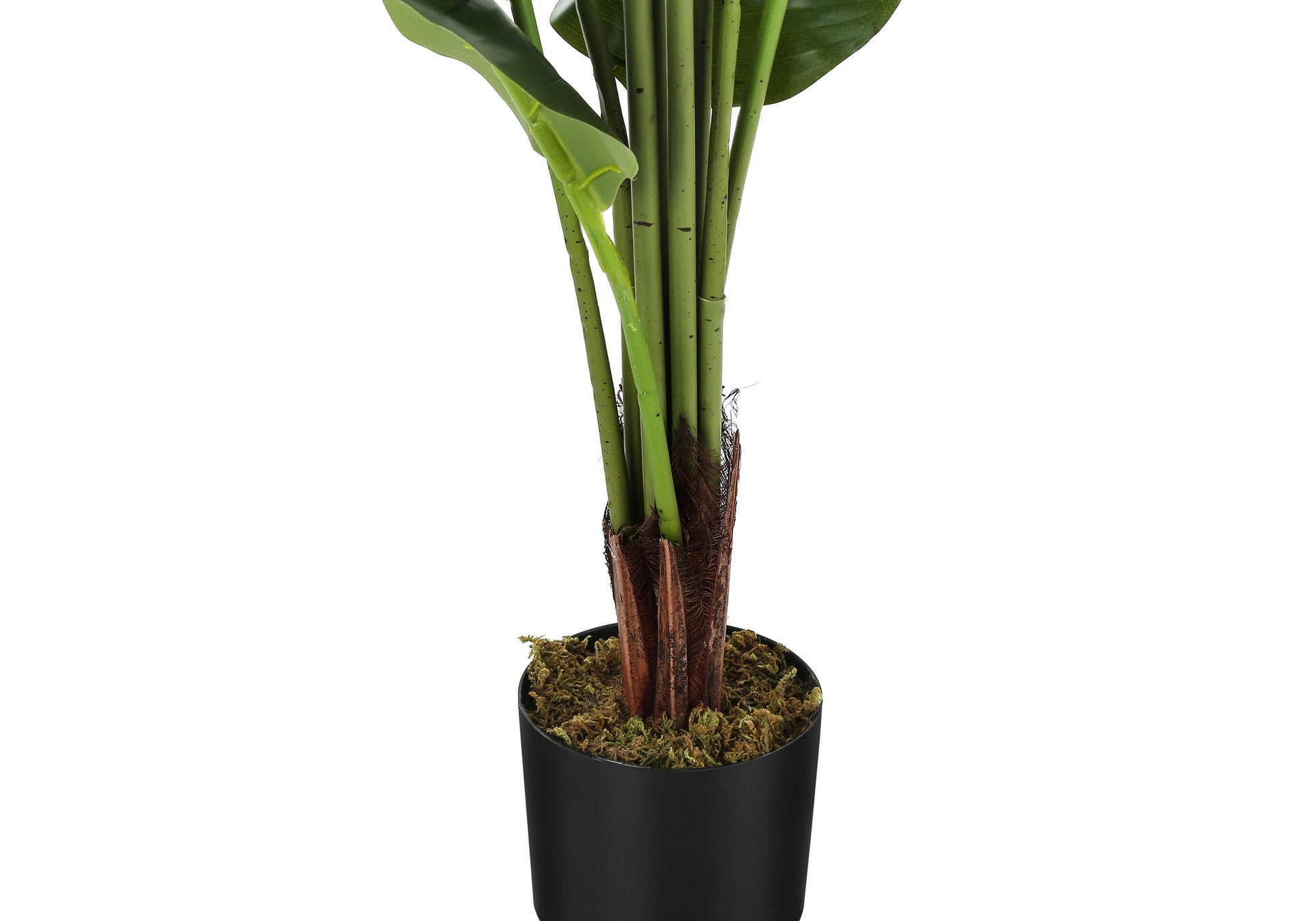 Artificial Strelitzia Plant 59"H with 5" Black Pot-Artificial Plant-DECOROLALA