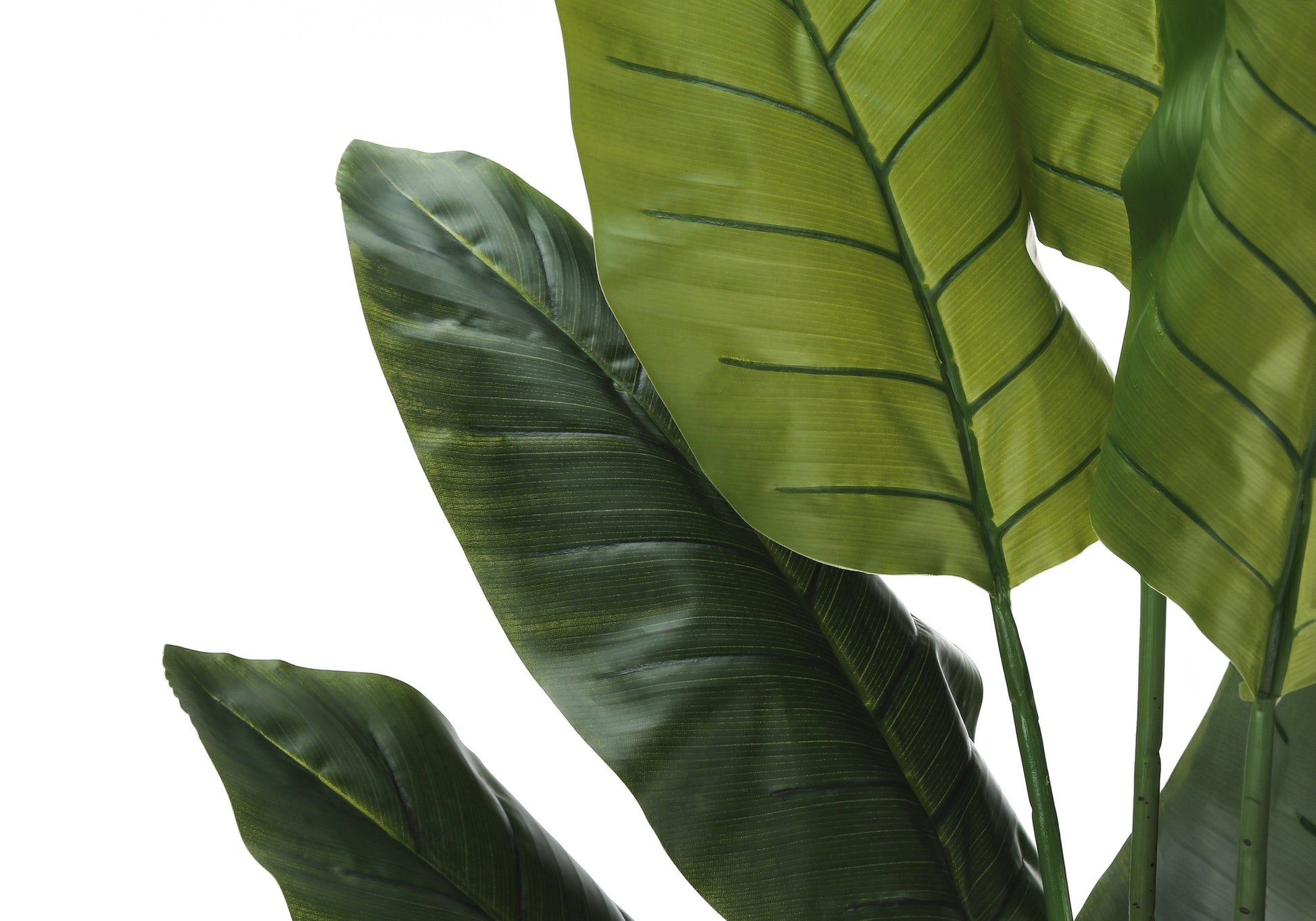 Artificial Strelitzia Plant 59"H with 5" Black Pot-Artificial Plant-DECOROLALA