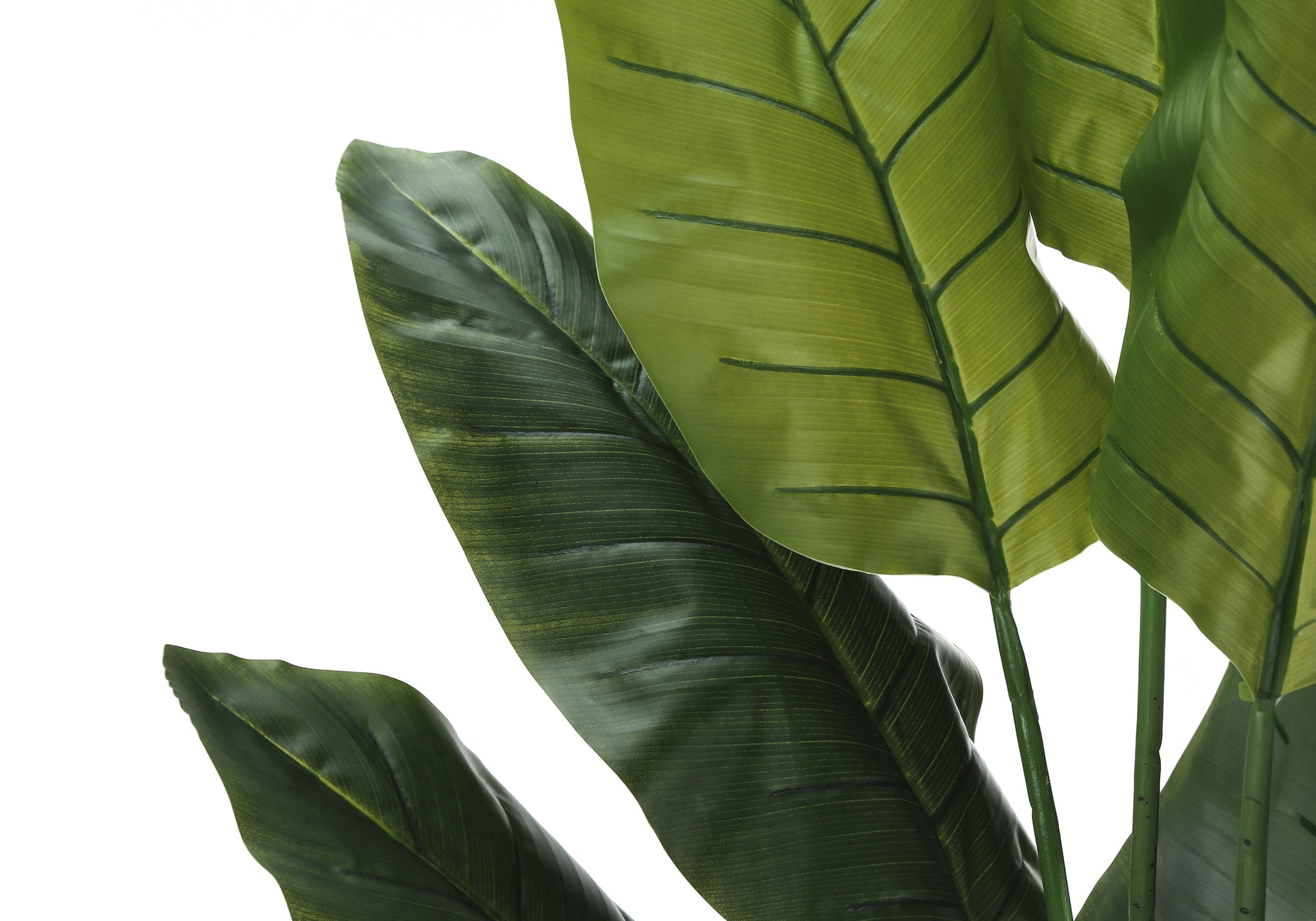 Artificial Strelitzia Plant 59"H with 5" Black Pot-Artificial Plant-DECOROLALA