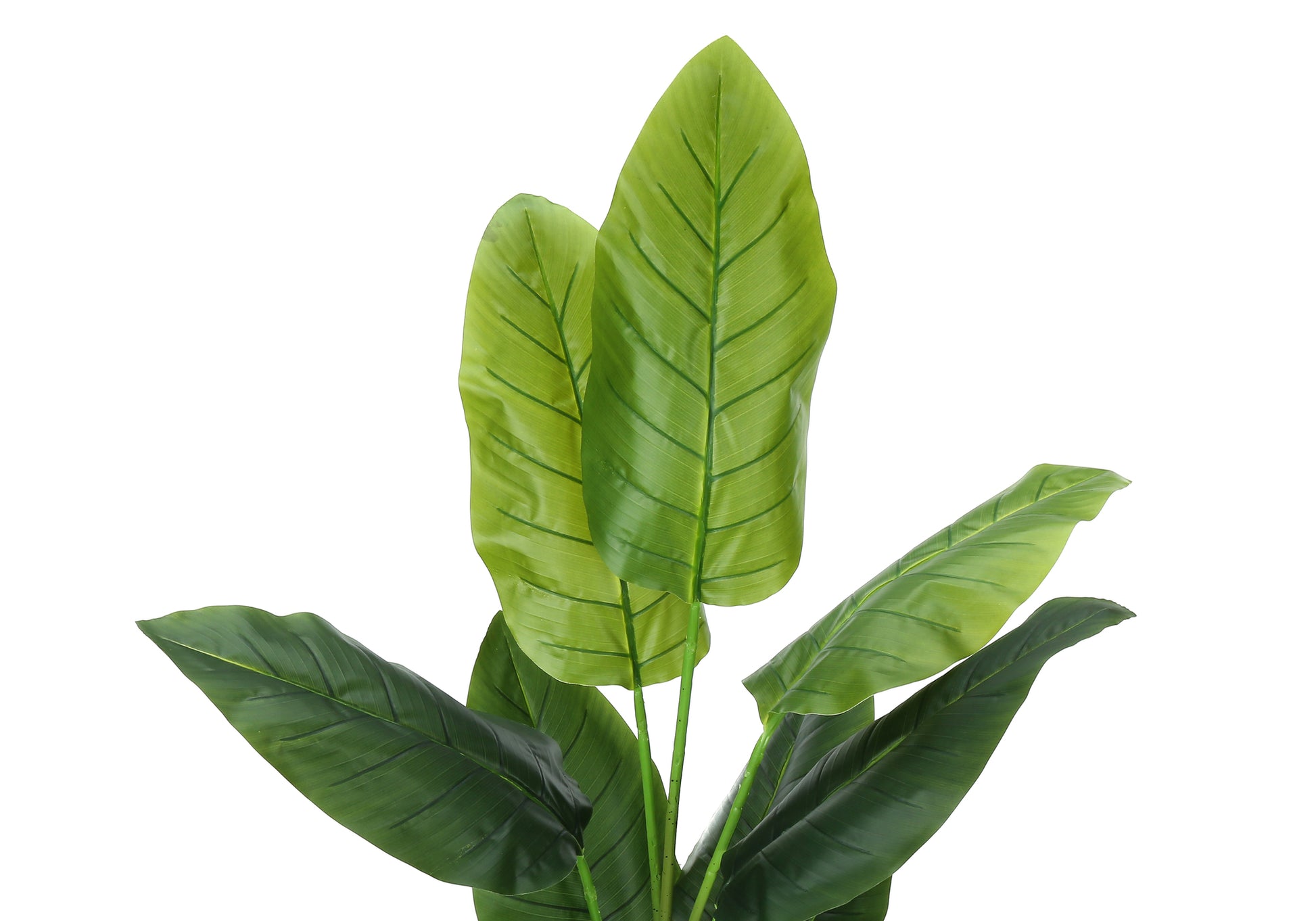 Artificial Strelitzia Plant 59"H with 5" Black Pot-Artificial Plant-DECOROLALA