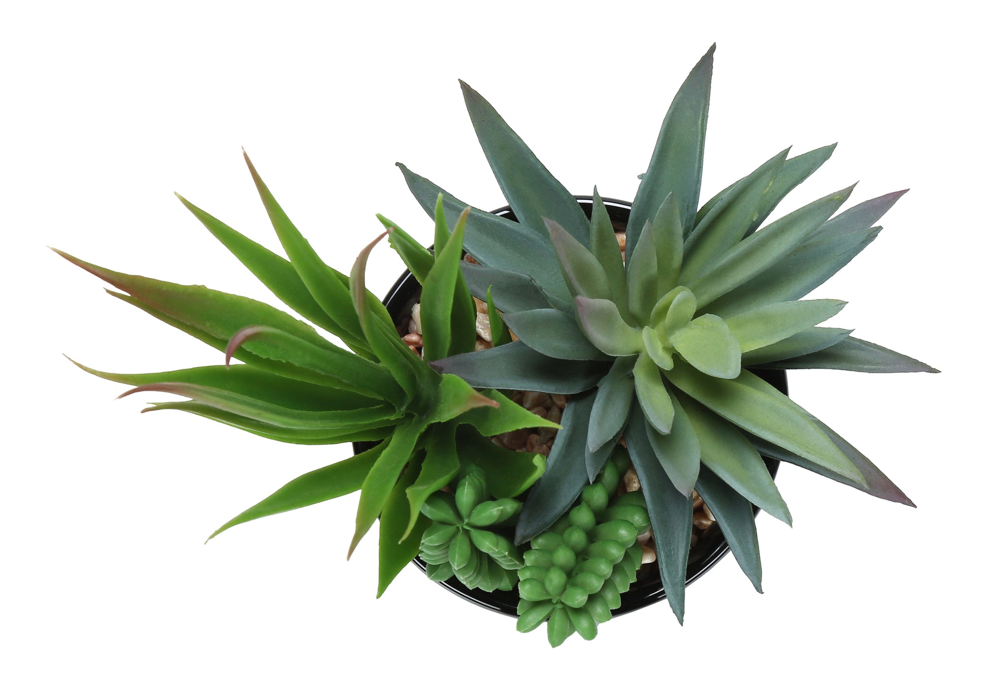 Artificial Succulent Plants - 2pc Set, 7"H Chrome Pots-Artificial Plant-DECOROLALA