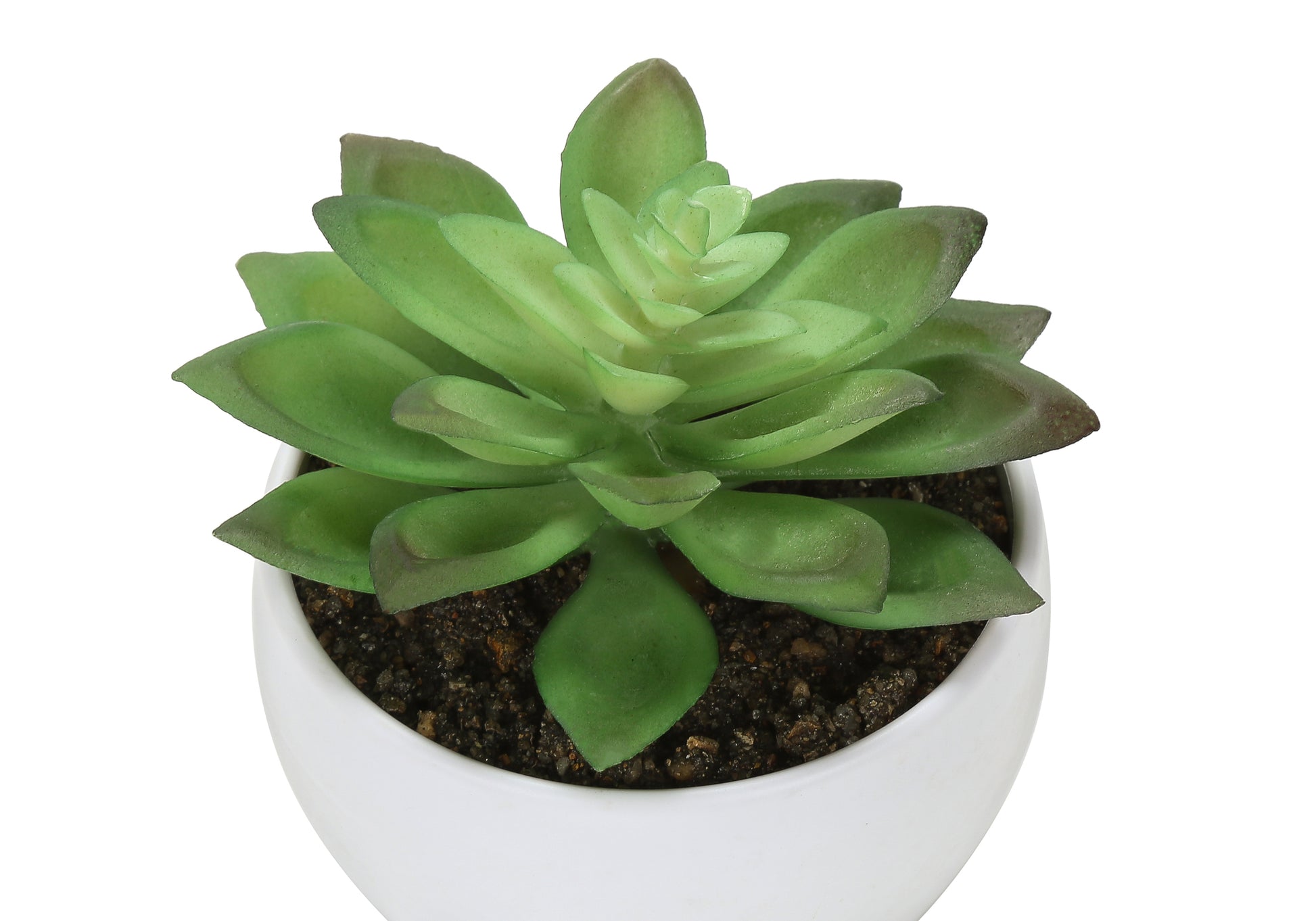 Artificial Succulent Plants Set, 3pcs, 6"H, White Pot-Artificial Plant-DECOROLALA