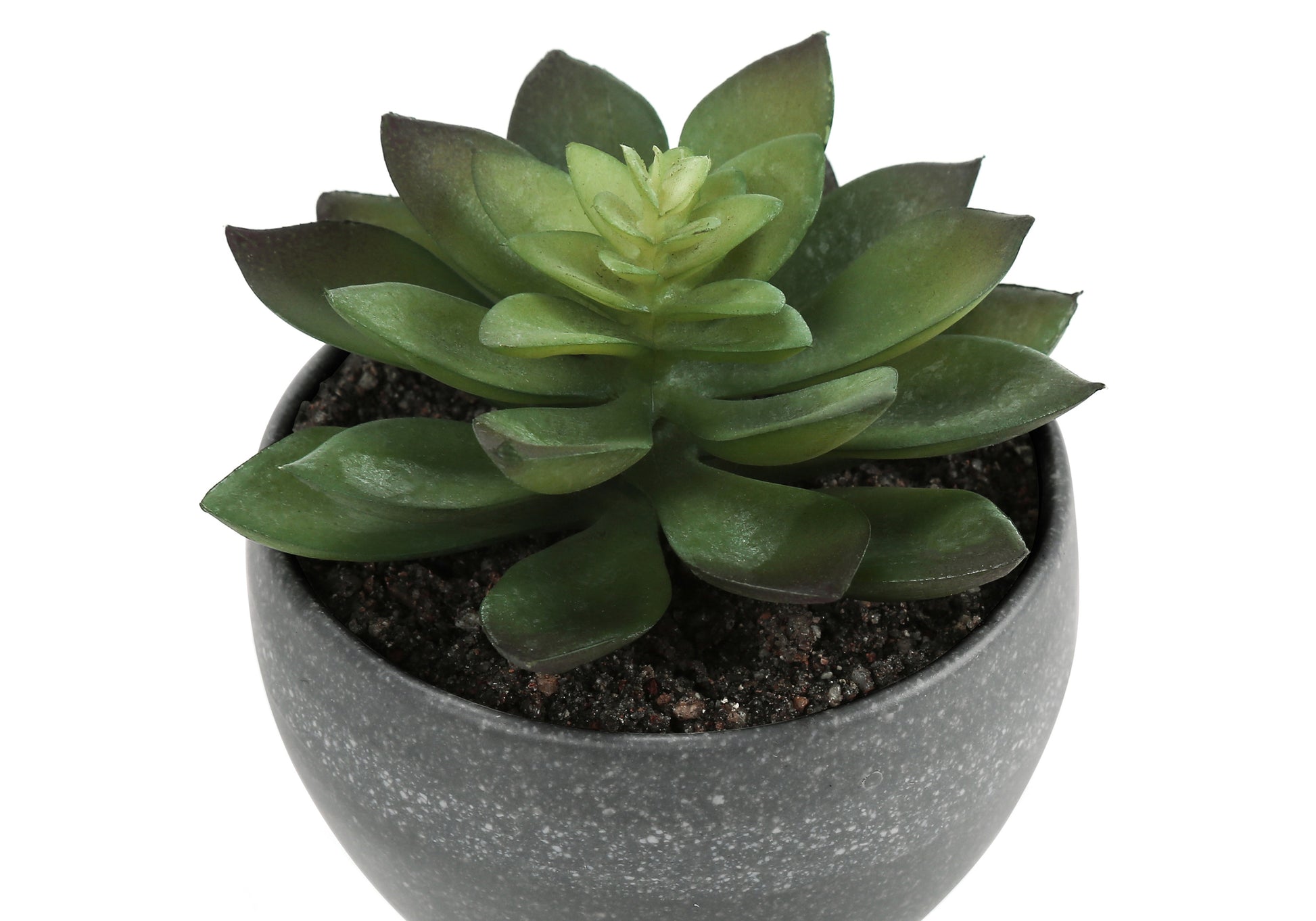 Artificial Succulent Plants Set, 3pcs, 6"H, White Pot-Artificial Plant-DECOROLALA
