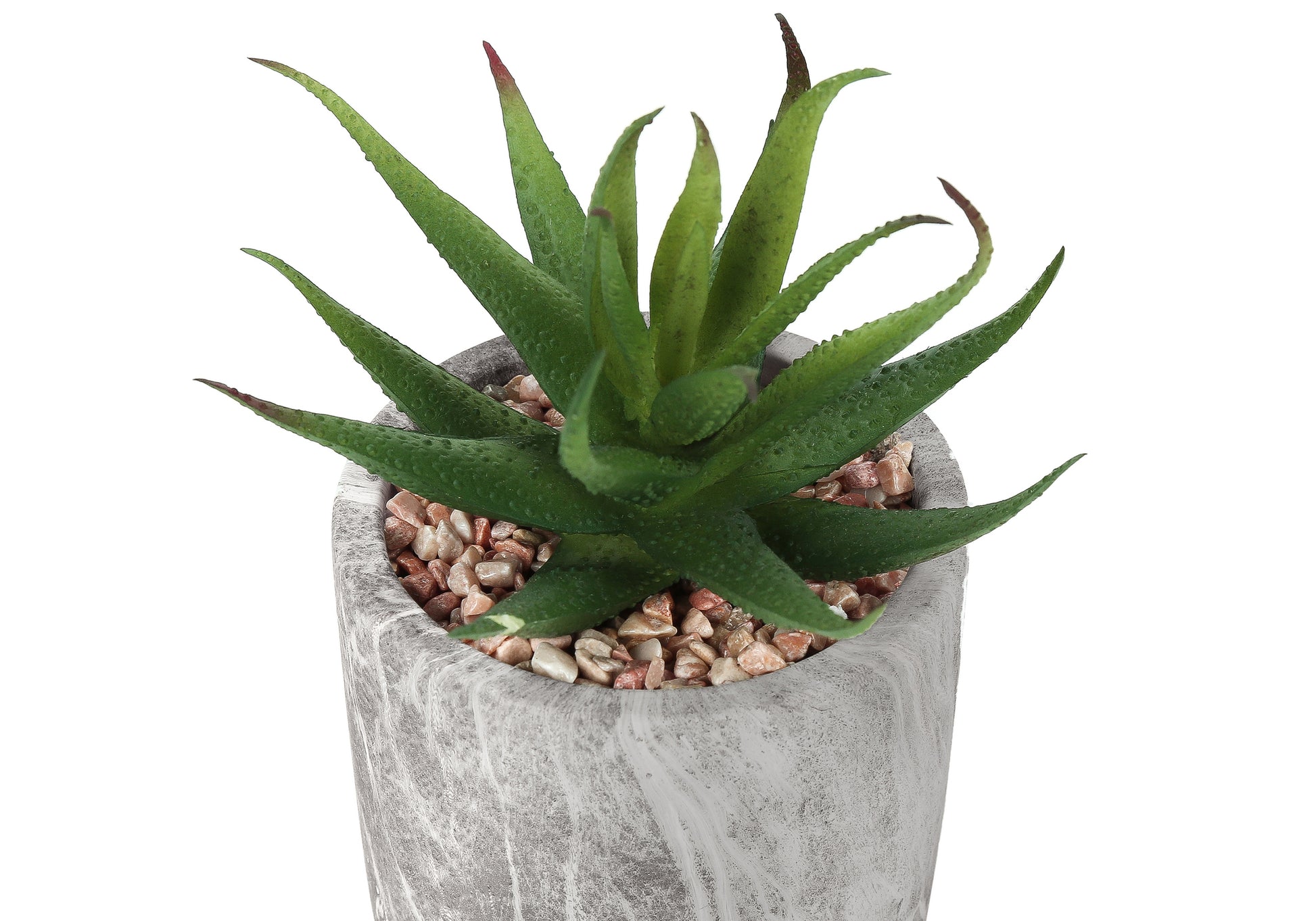 Artificial Succulent Plants - Set of 2, 7"H in Cement Pots-Artificial Plant-DECOROLALA