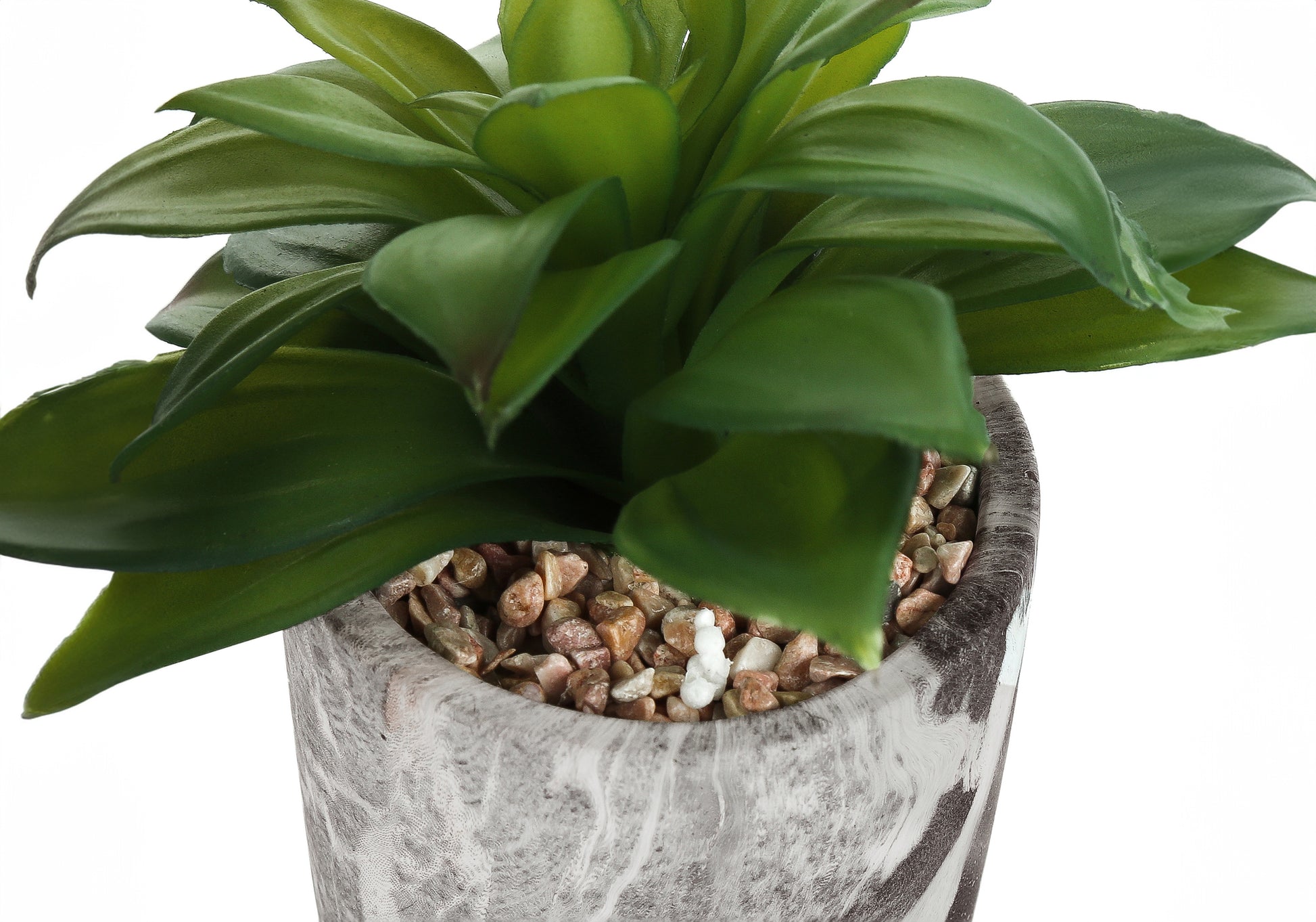 Artificial Succulent Plants - Set of 2, 7"H in Cement Pots-Artificial Plant-DECOROLALA