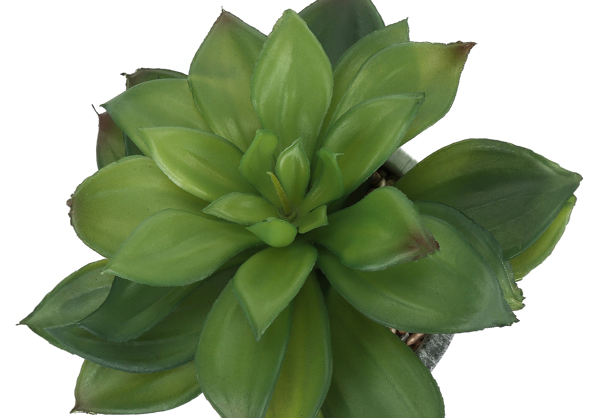 Artificial Succulent Plants - Set of 2, 7"H in Cement Pots-Artificial Plant-DECOROLALA