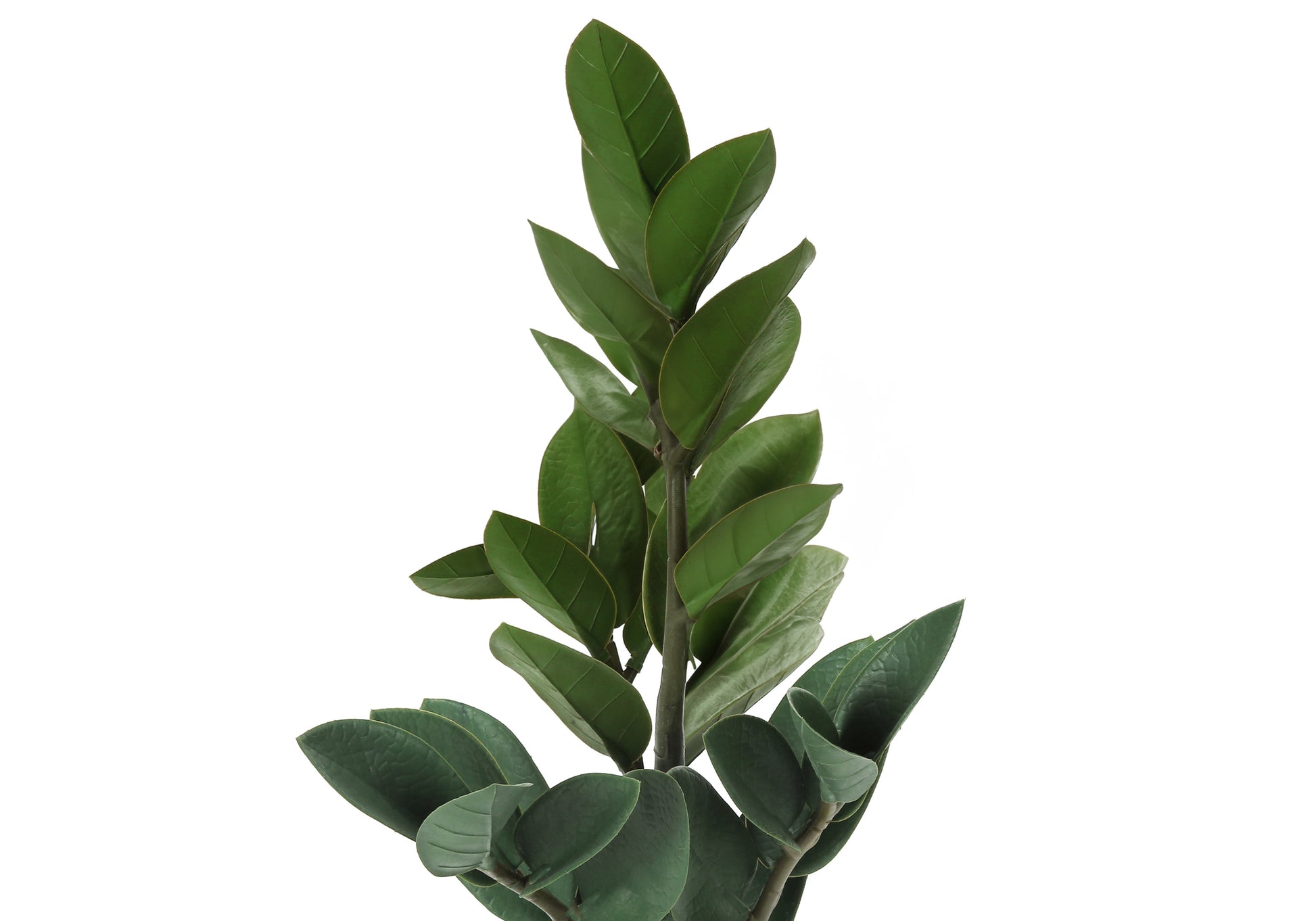 Artificial ZZ Plant - 20"H in 5" Cement Pot-Artificial Plant-DECOROLALA