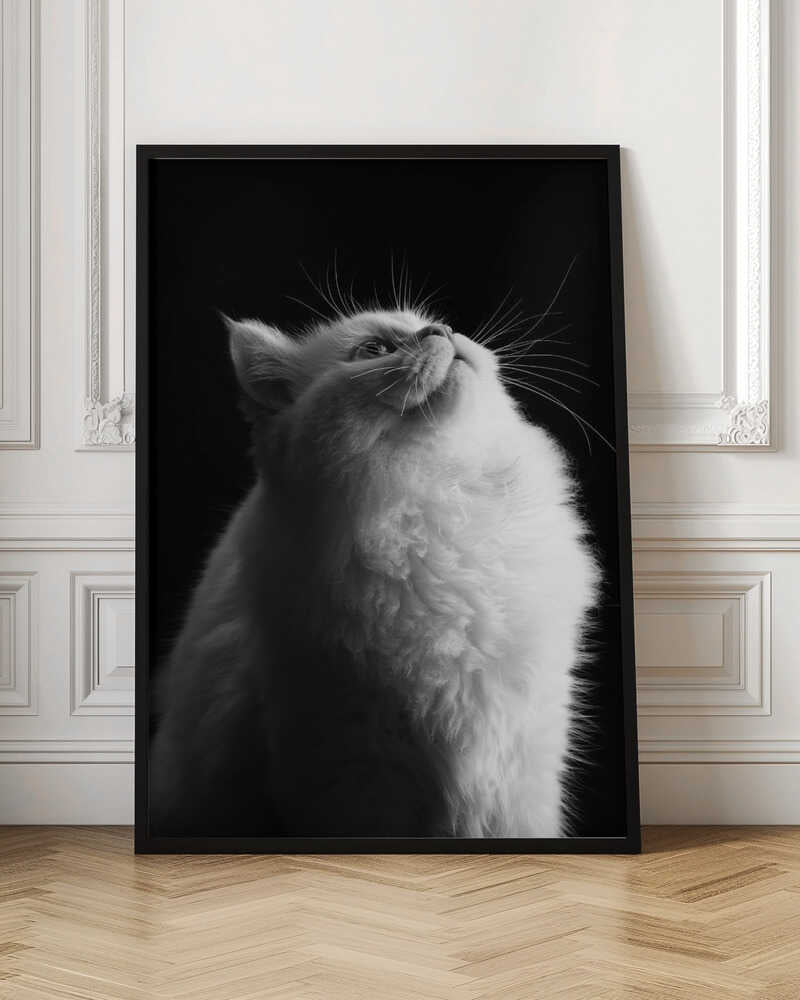 Asep Awaludin White in Black Canvas Print-canvas prints-DECOROLALA