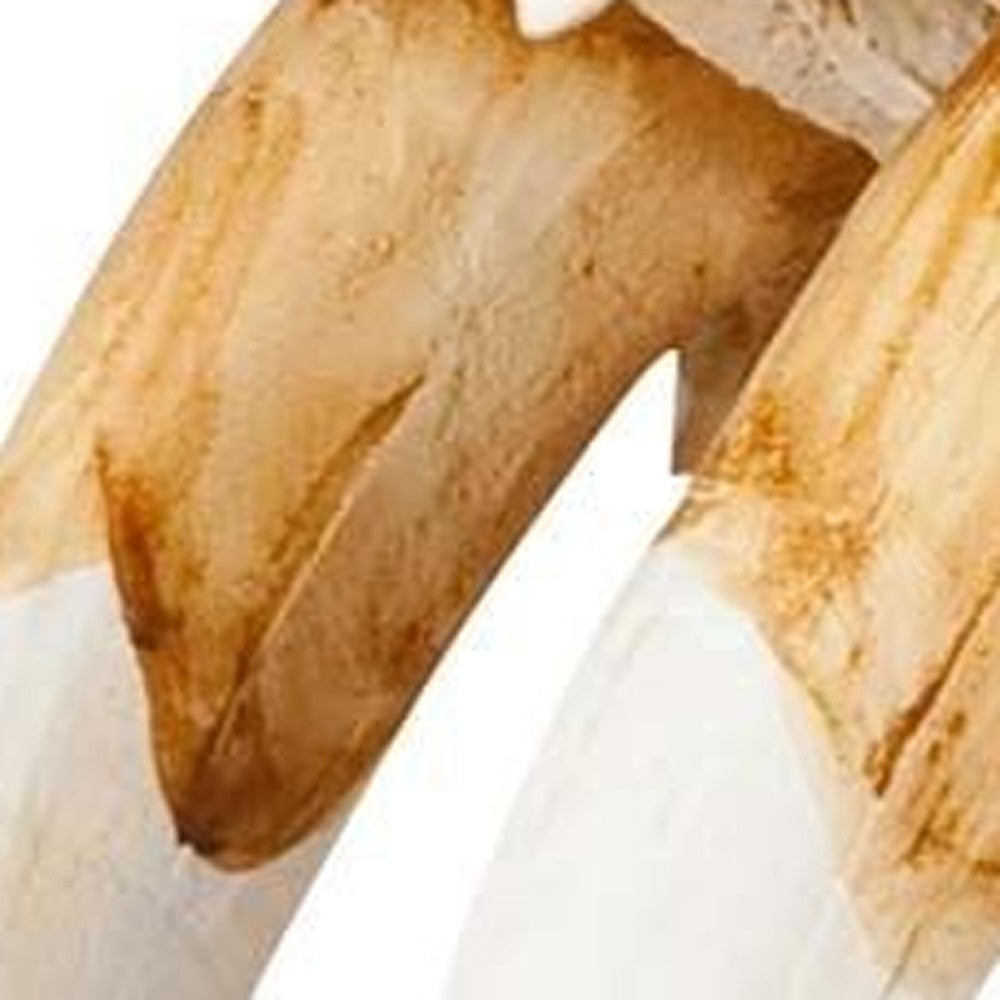 Authentic Replica Sabertooth Skull Sculpture-Sculptures-DECOROLALA