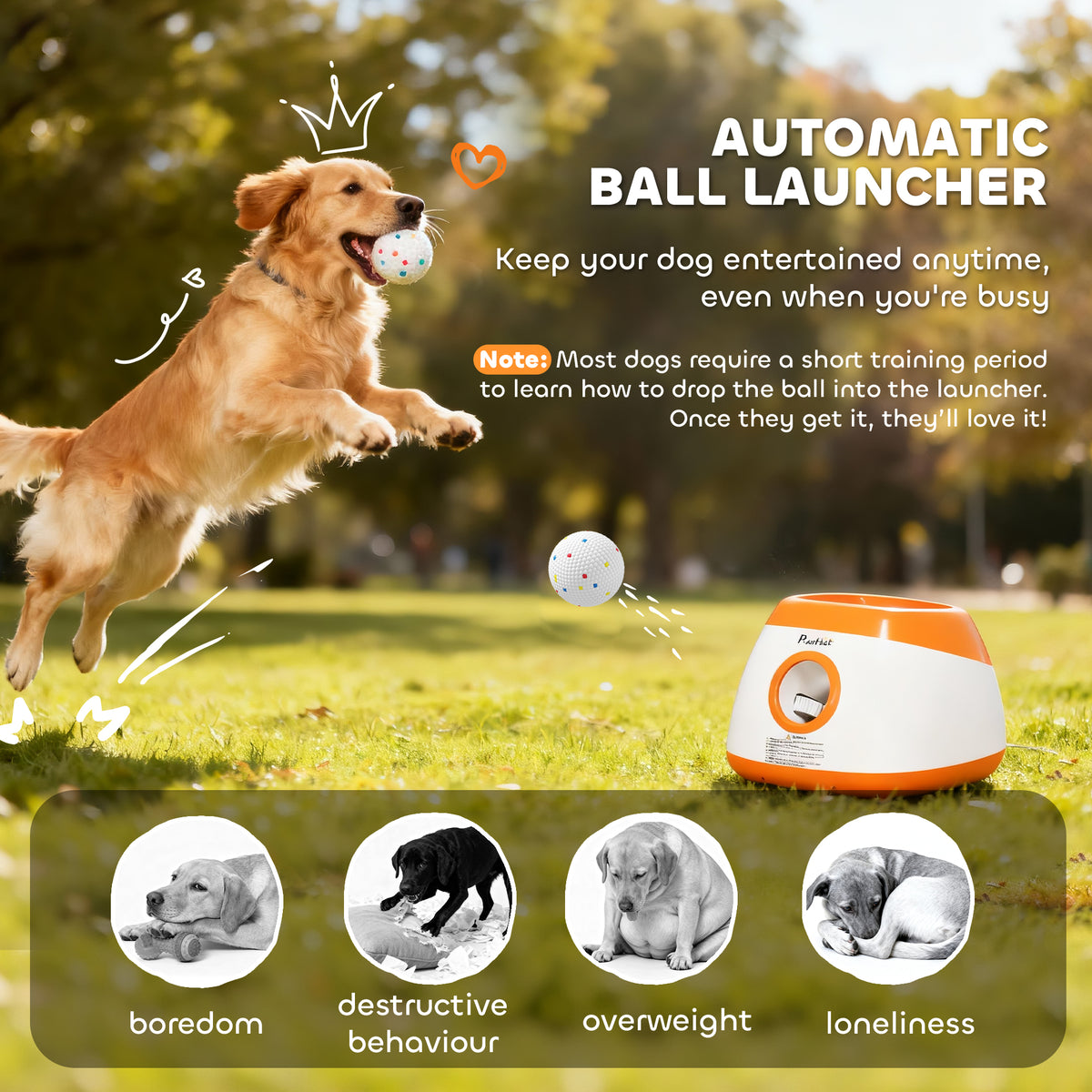 Automatic Dog Ball Launcher with 3 ETPU Balls - Orange-Dogs-DECOROLALA
