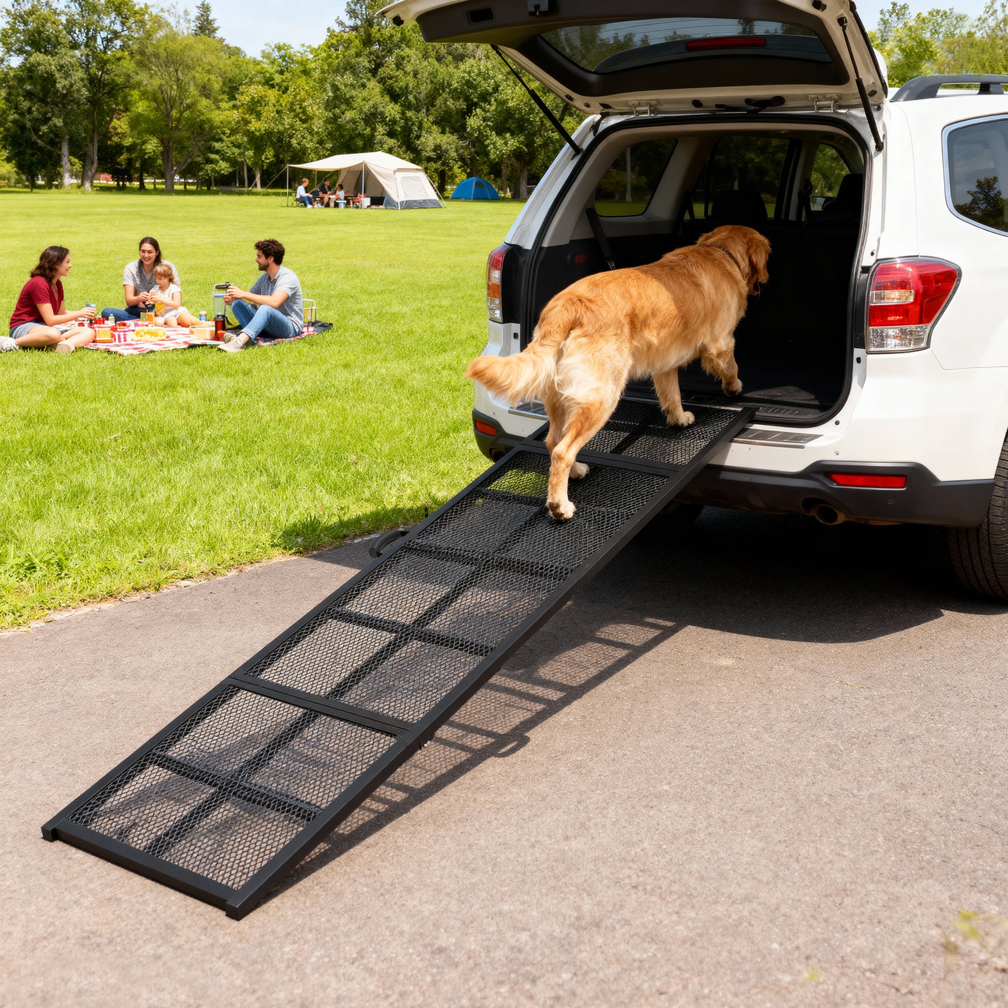 75" Folding & Portable Dog Car Ramp for Large Dogs, Extra Long & Wide, for Car, SUV, Truck, RV, High Bed