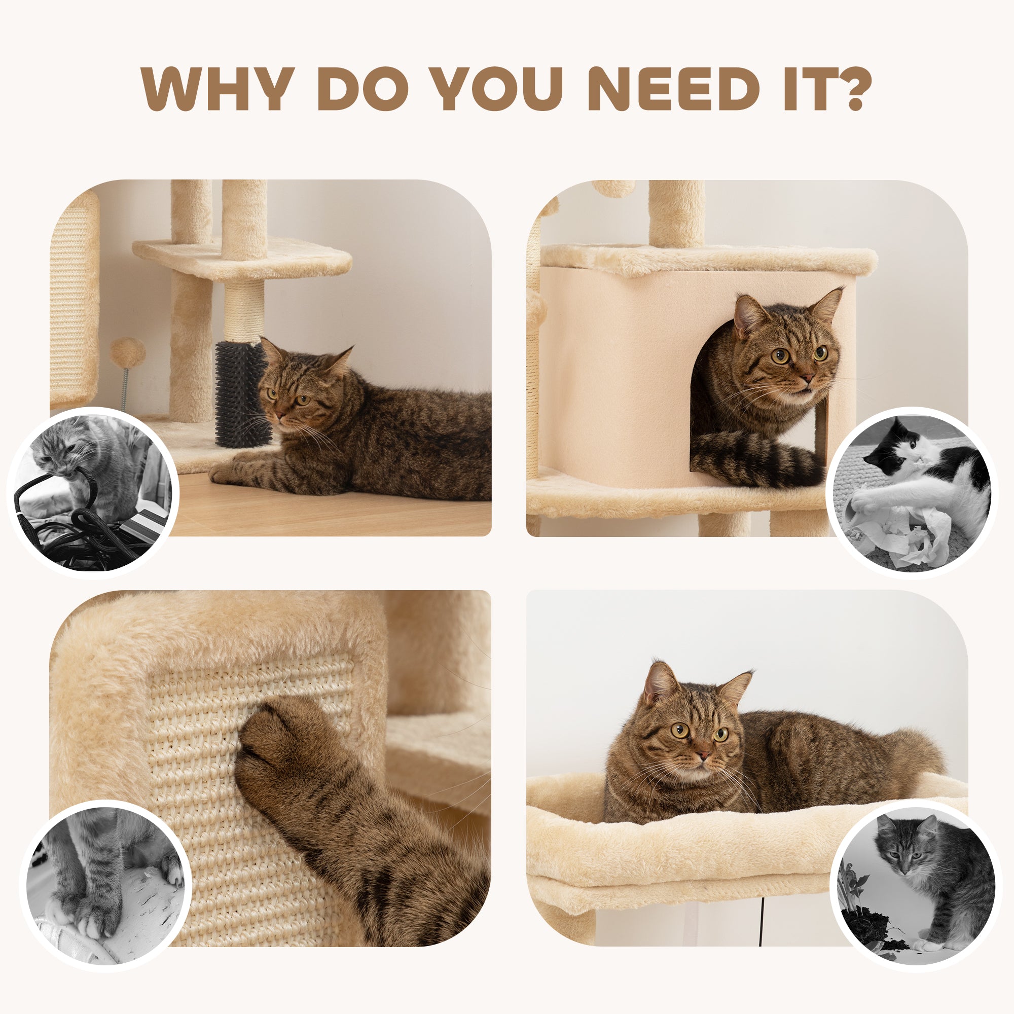 41 Inch Cat Tree with Scratching Posts, Cat Bed, Condo, Grooming Brush, Jumping Platforms, Toy Balls, Anti-tip Kit