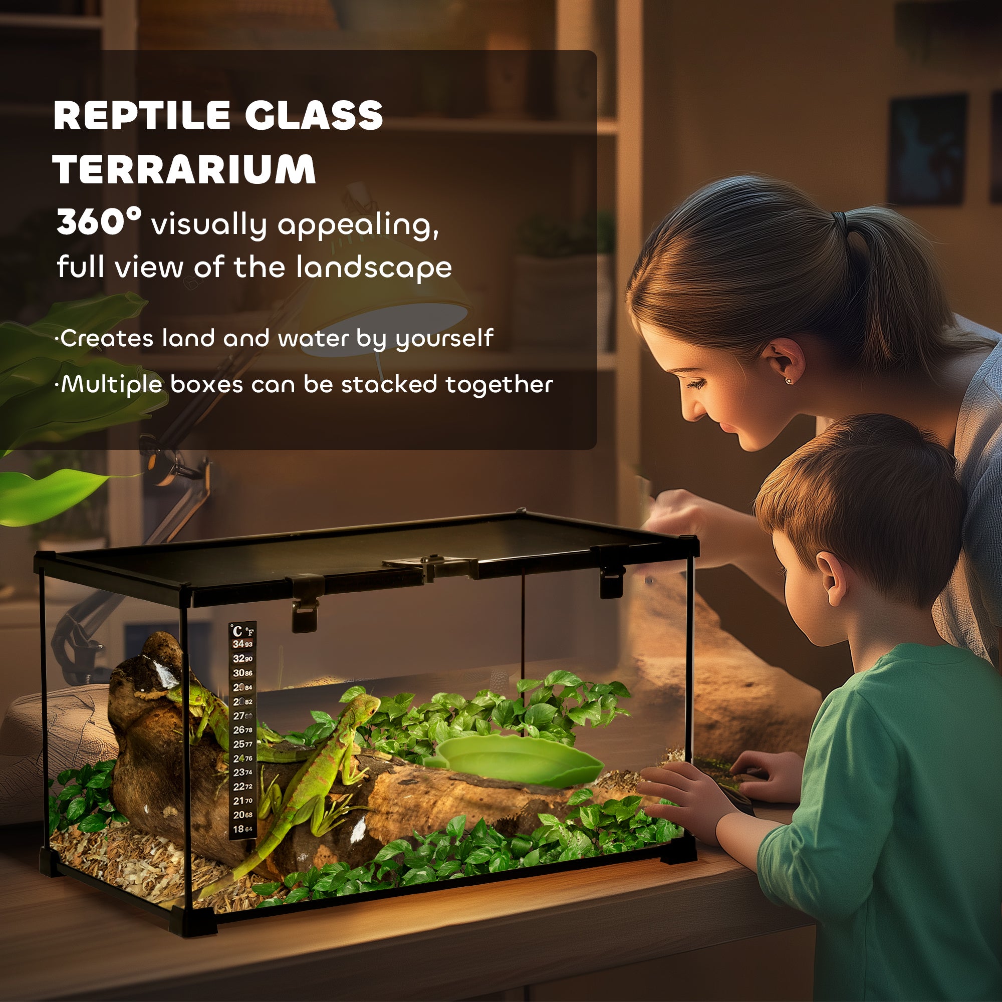 Glass Reptile Terrarium with Thermometer, Water Basin, Full View Visually for Lizards, Horned Frogs, Snakes, Spiders