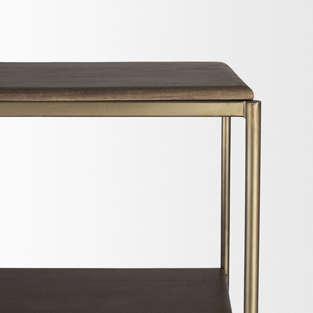 Baron Dark Brown Wood w/ Antiqued Aged Brass Metal 2-Door Open Shelving Unit-Shelving-DECOROLALA