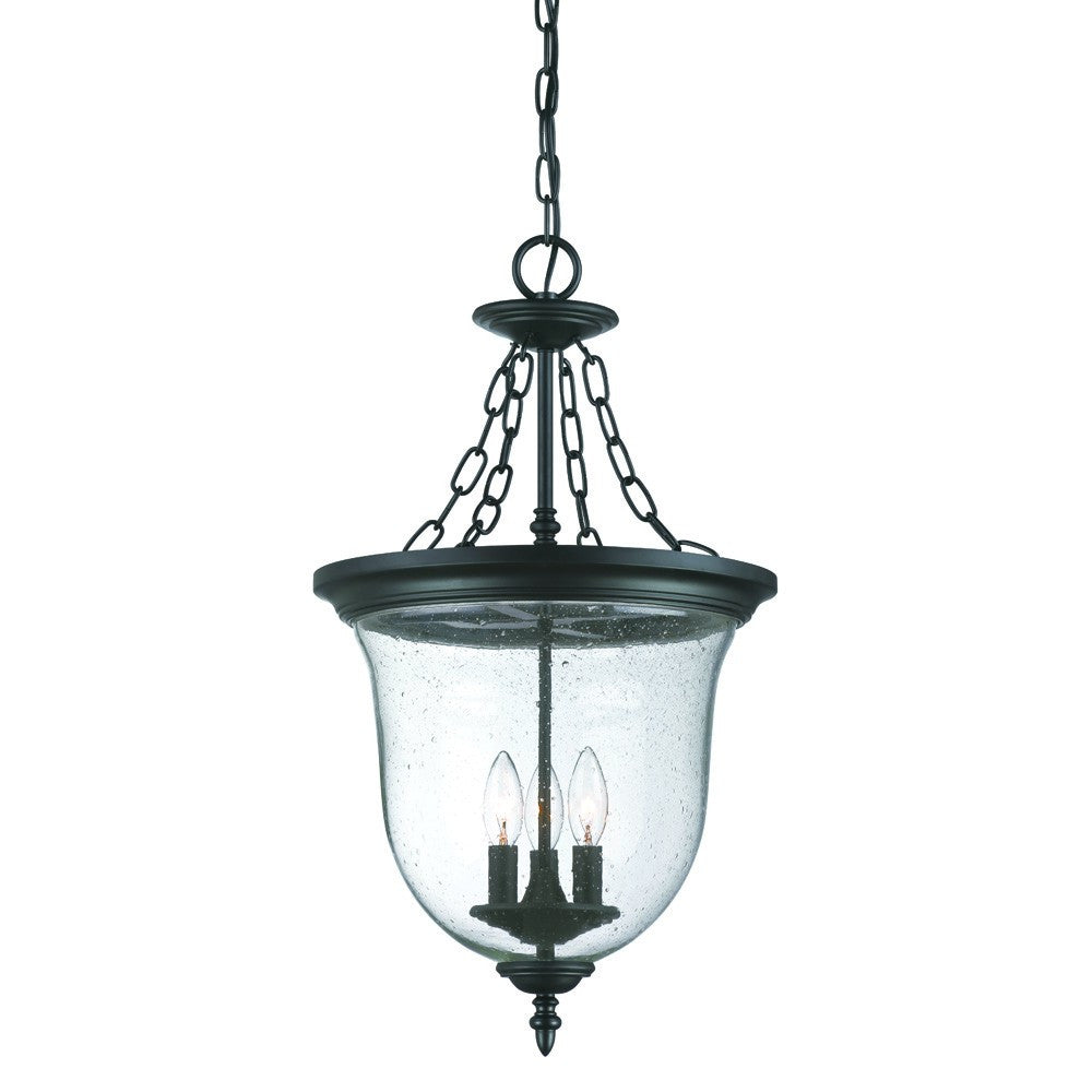 Belle 3-Light Matte black Hanging light-Chandeliers-DECOROLALA